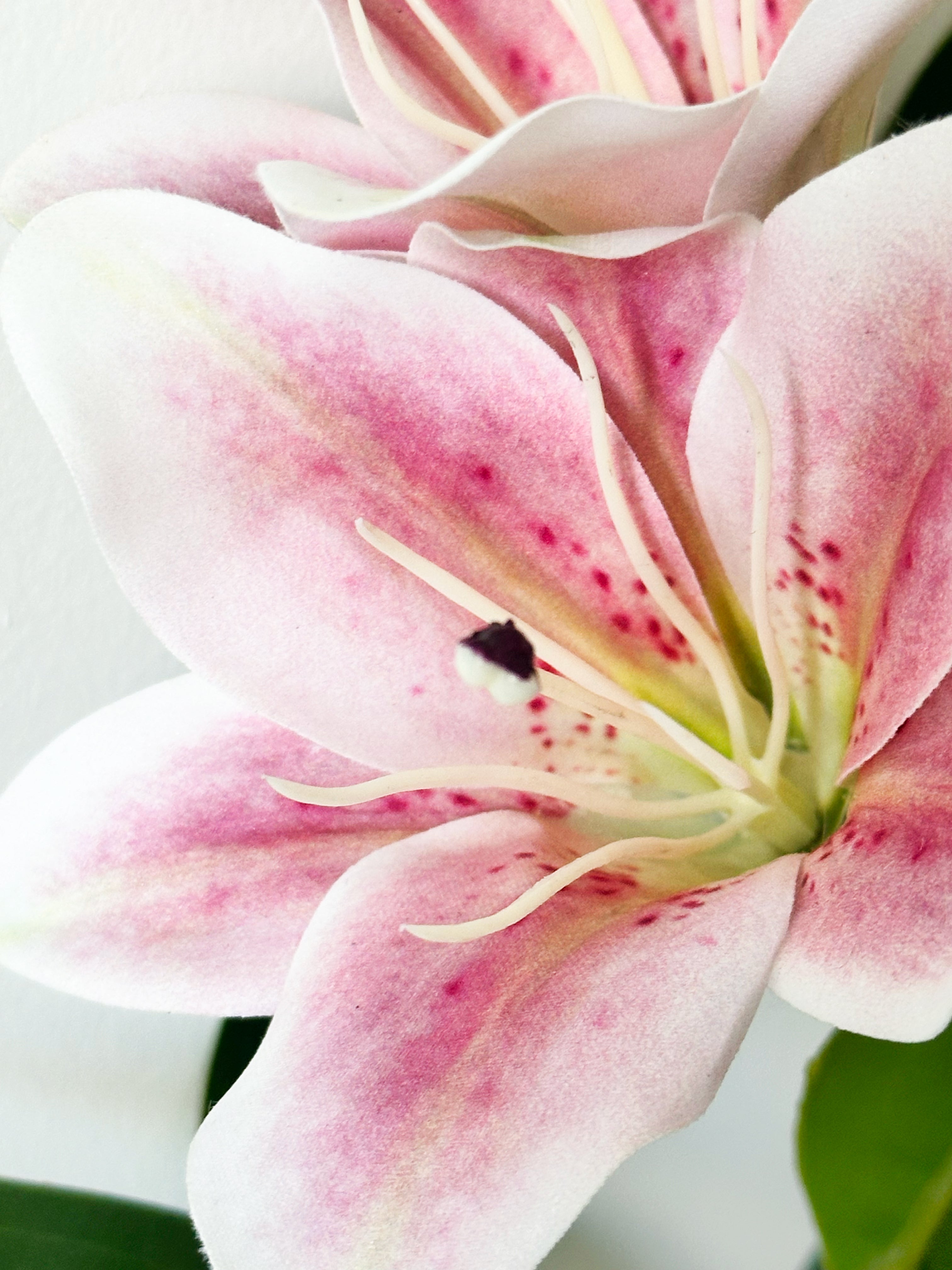 Amaranton 30" Realistic 5 - Bloom Lily - Peach