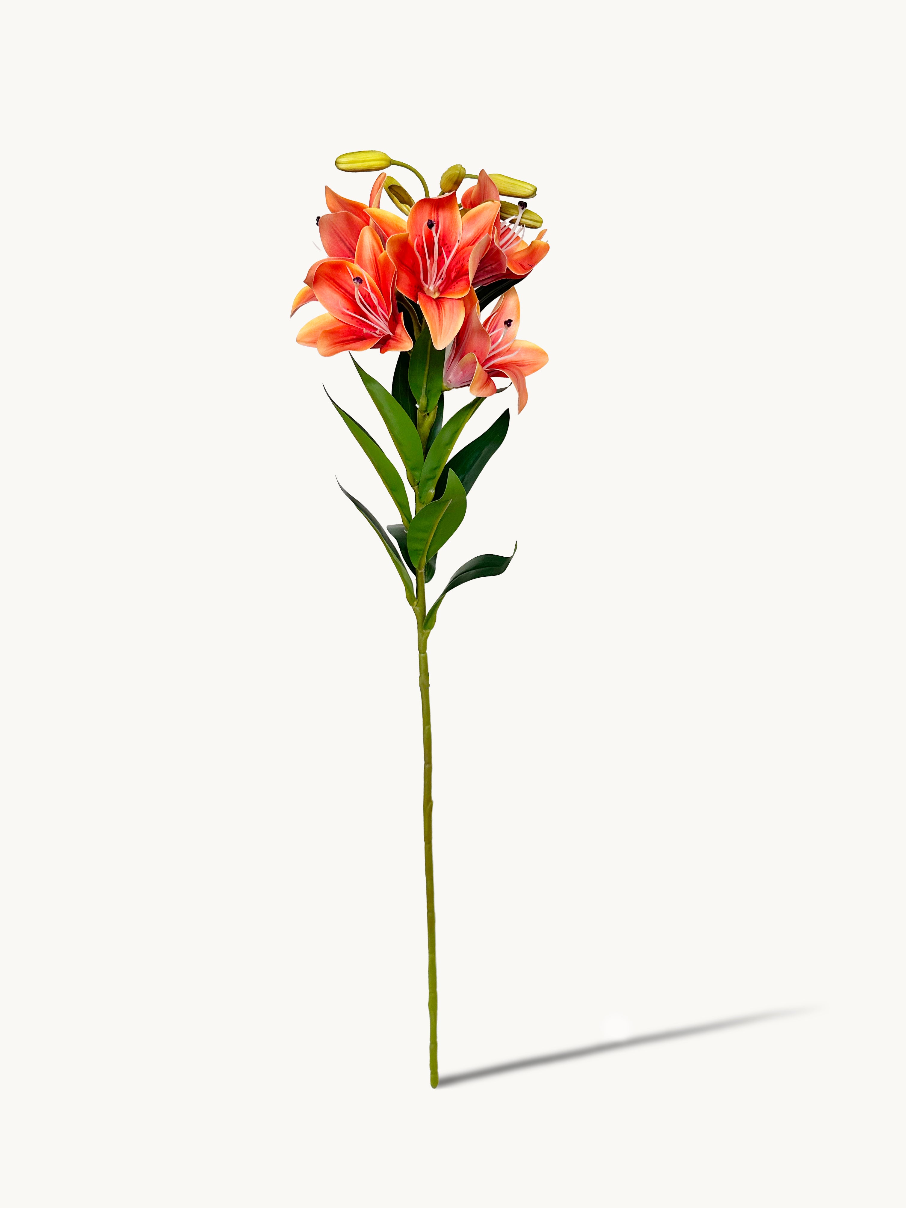 Amaranton 30" Realistic 5 - Bloom Lily - Orange