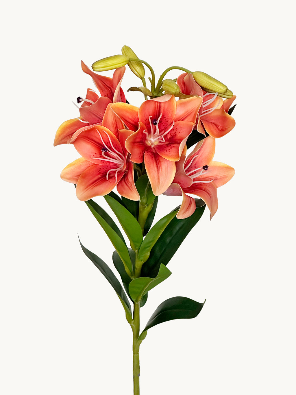 Amaranton 30" Realistic 5 - Bloom Lily - Orange