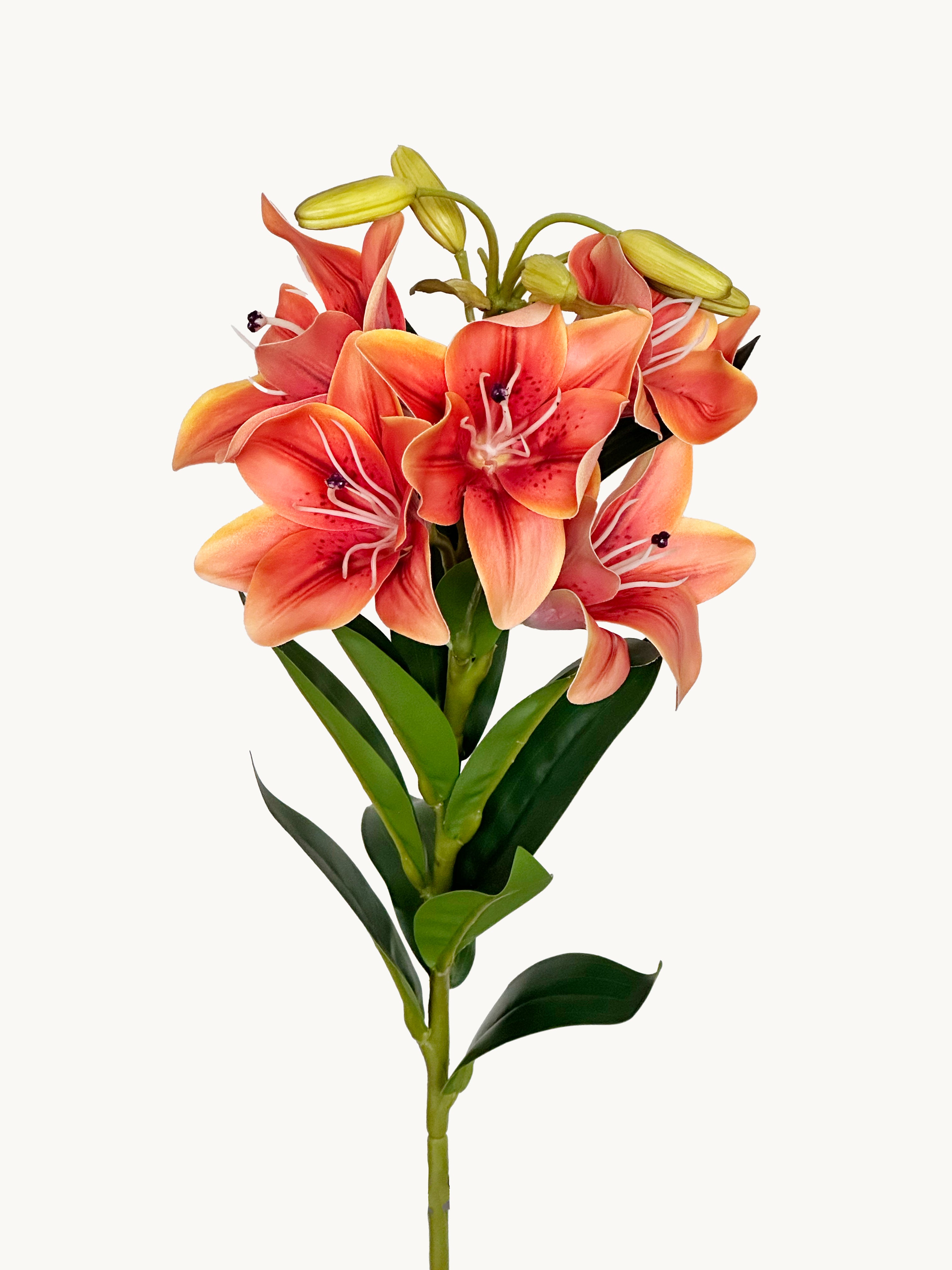 Amaranton 30" Realistic 5 - Bloom Lily - Orange