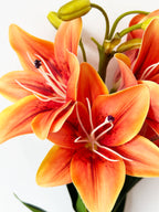 Amaranton 30" Realistic 5 - Bloom Lily - Orange