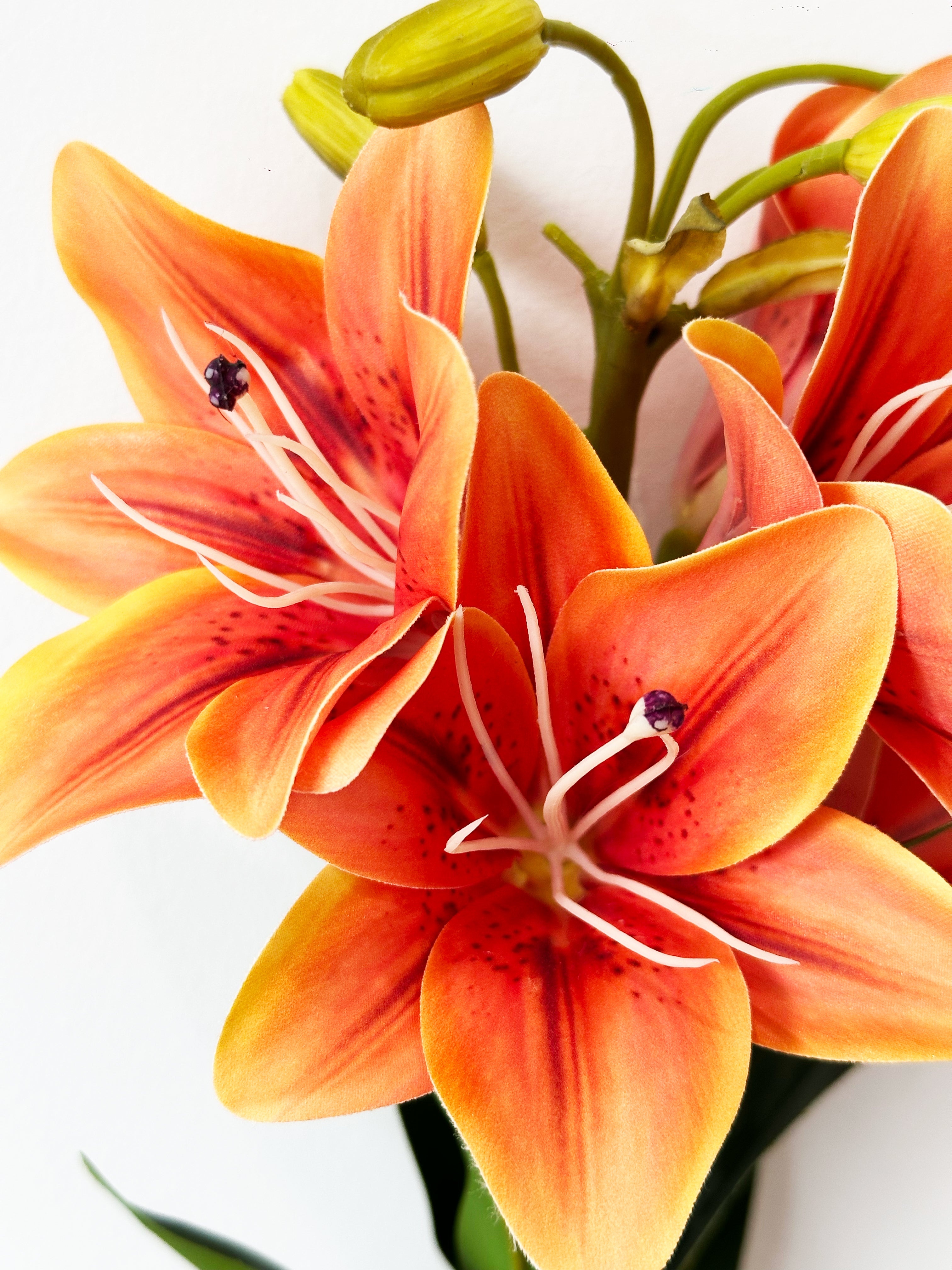 Amaranton 30" Realistic 5 - Bloom Lily - Orange