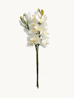 Amaranton Pure White Lily Flower Stem