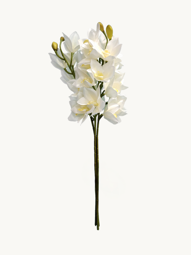 Amaranton Pure White Lily Flower Stem