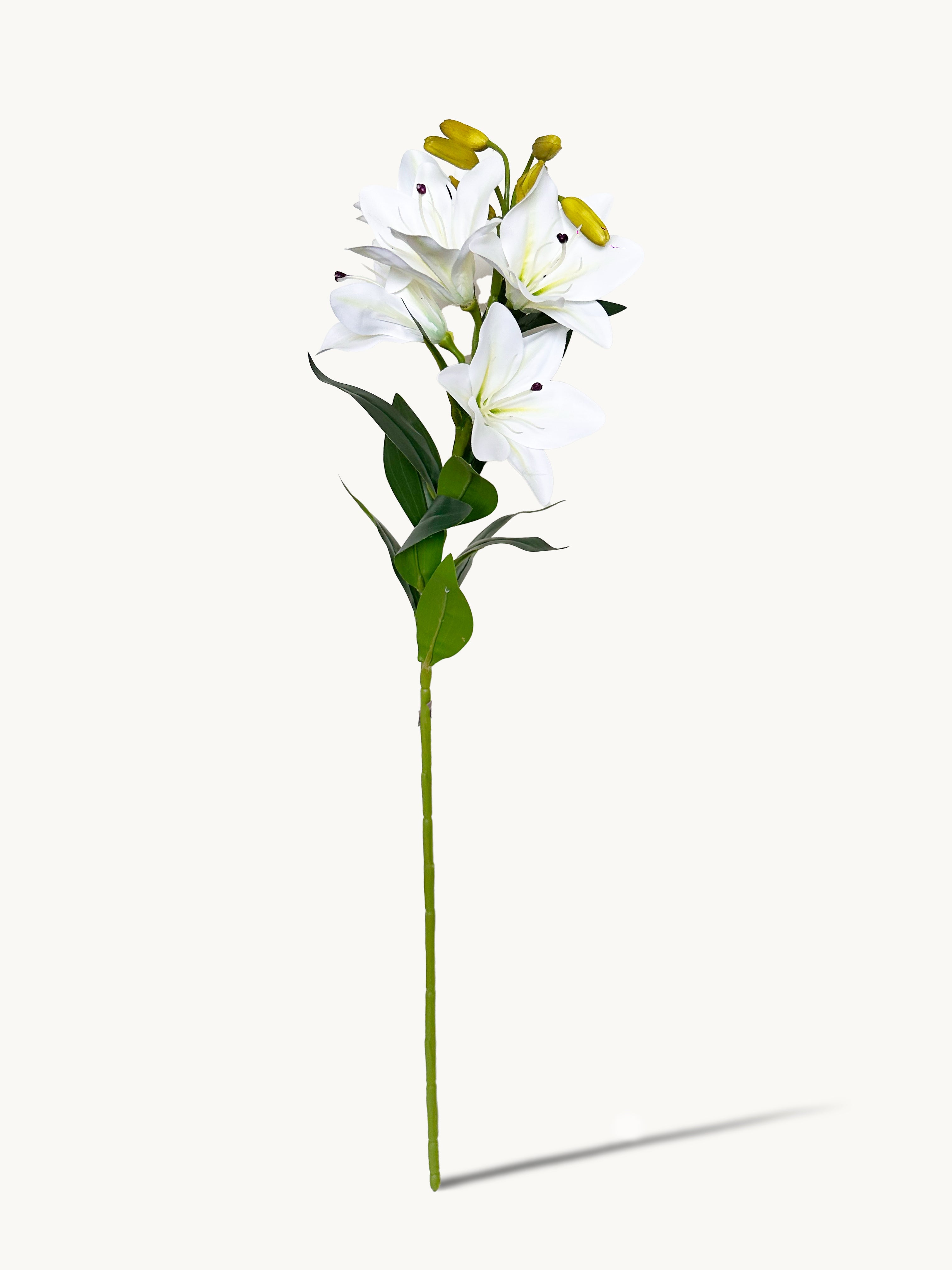 Amaranton Pure White Lily Flower Stem