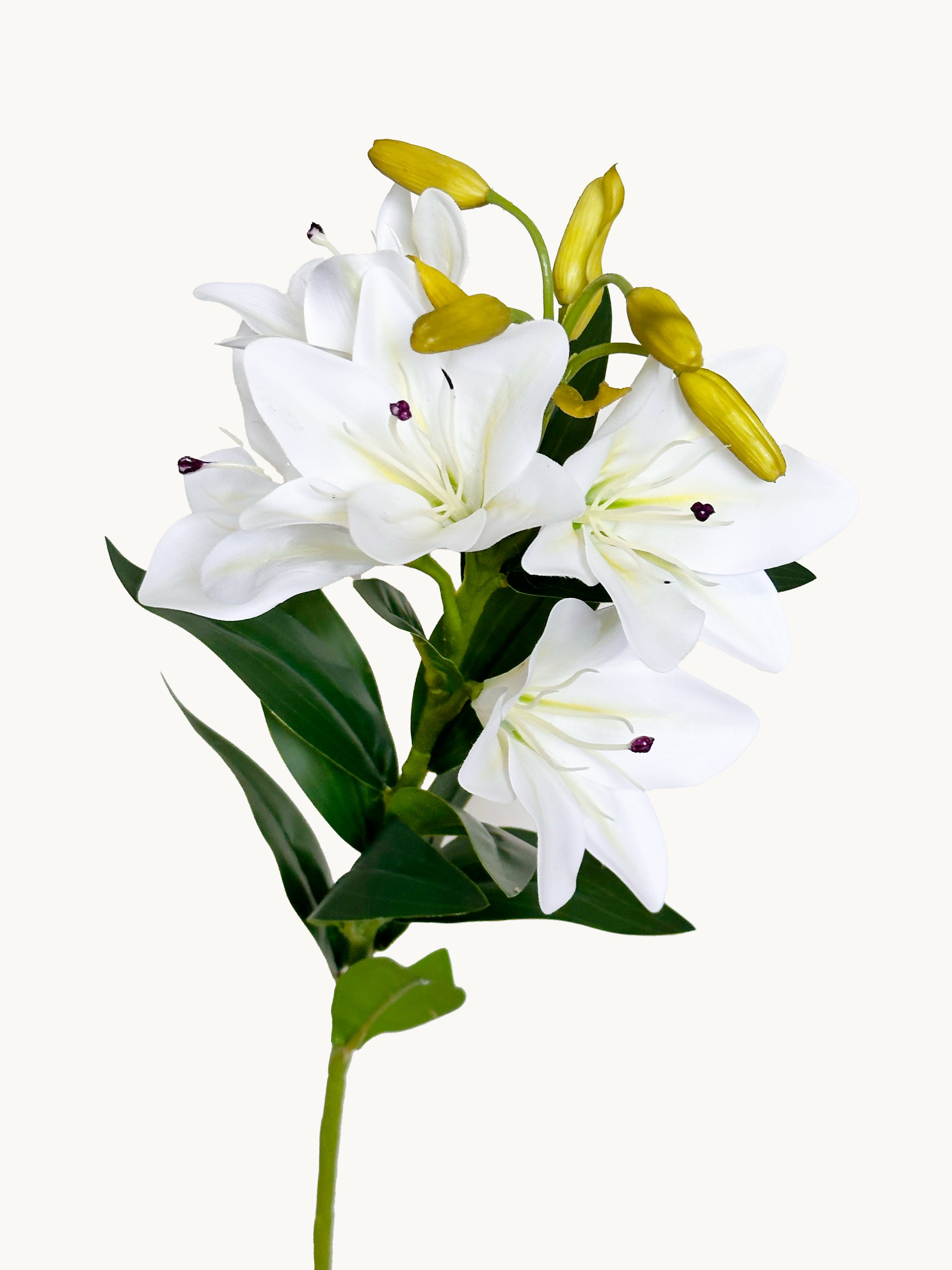 Amaranton Pure White Lily Flower Stem