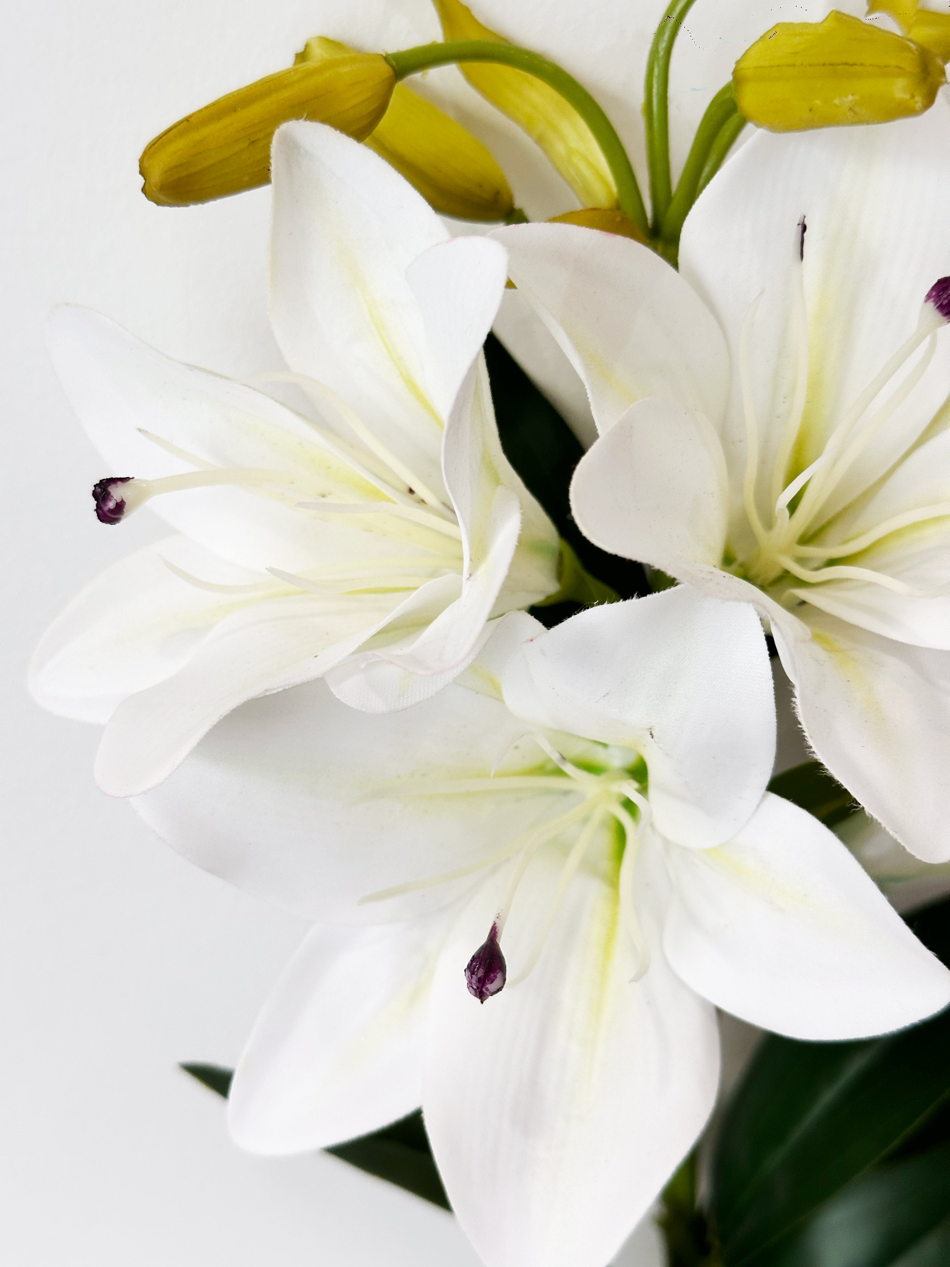Amaranton Pure White Lily Flower Stem