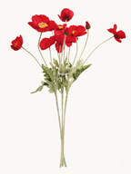 Amaranton 24" Realistic Poppy with 3 Blooms & 1 Bud - Red