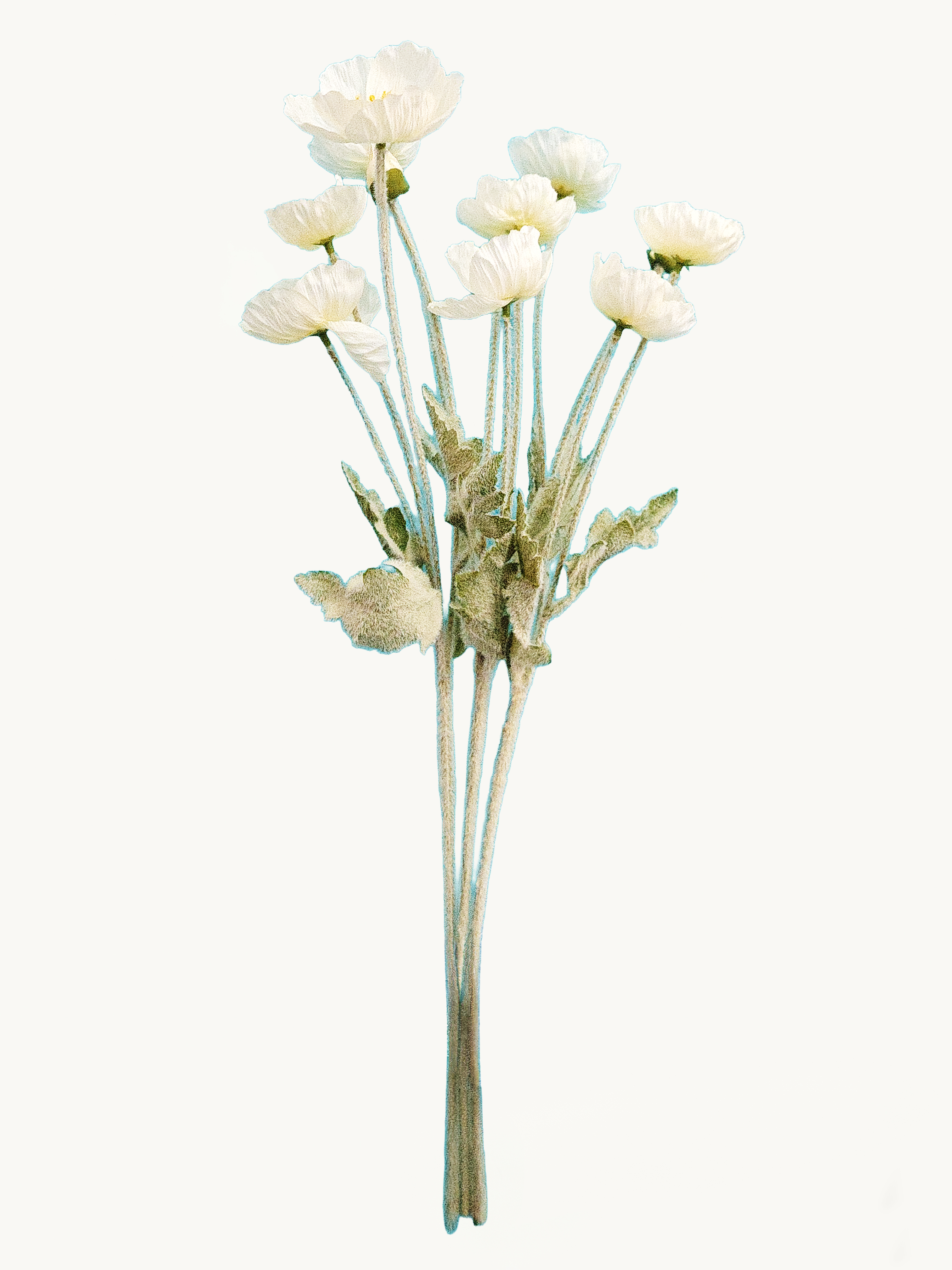 Amaranton 24" Realistic Poppy with 3 Blooms & 1 Bud - White