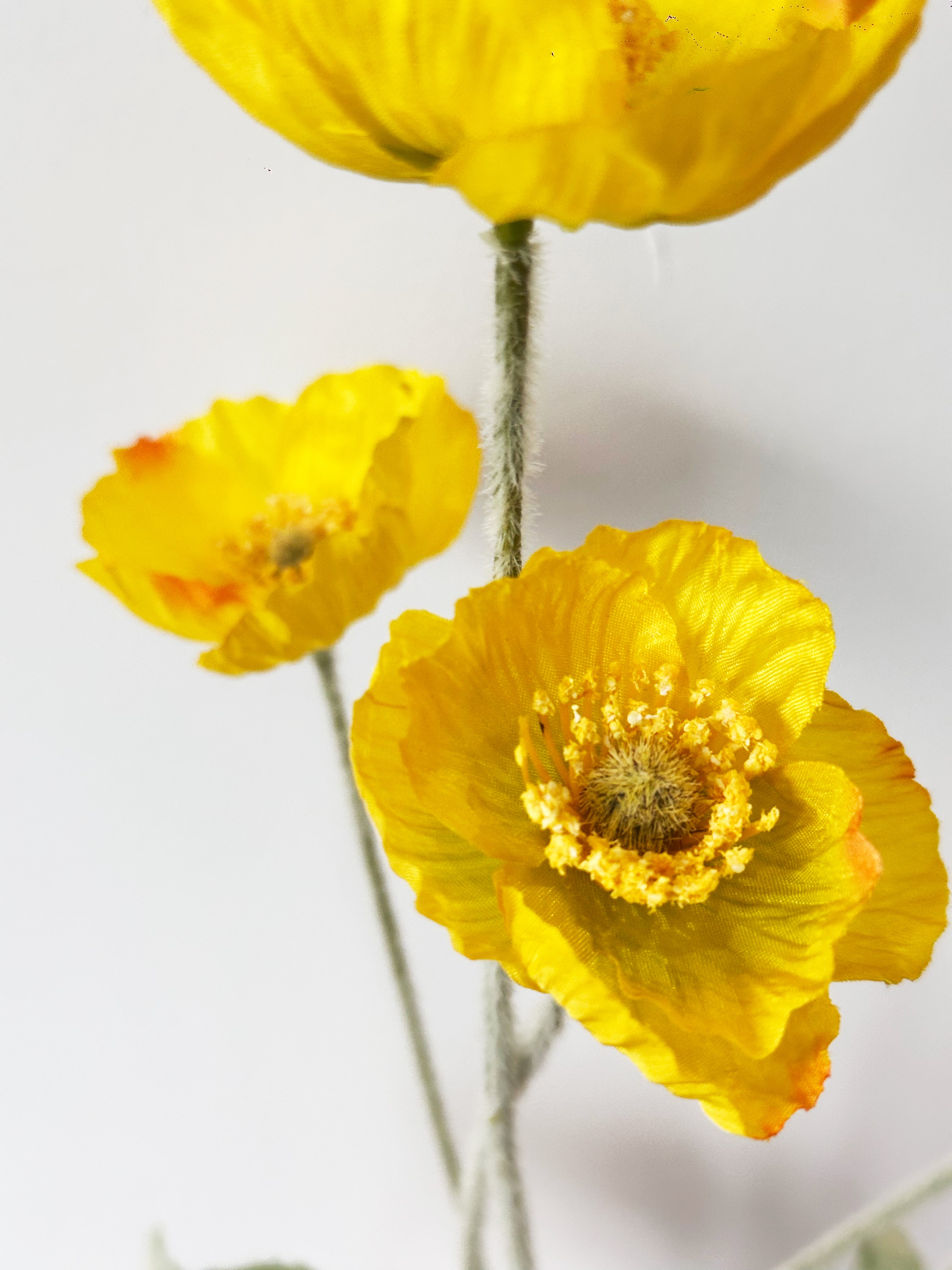 Amaranton 24" Realistic Poppy with 3 Blooms & 1 Bud - Yellow
