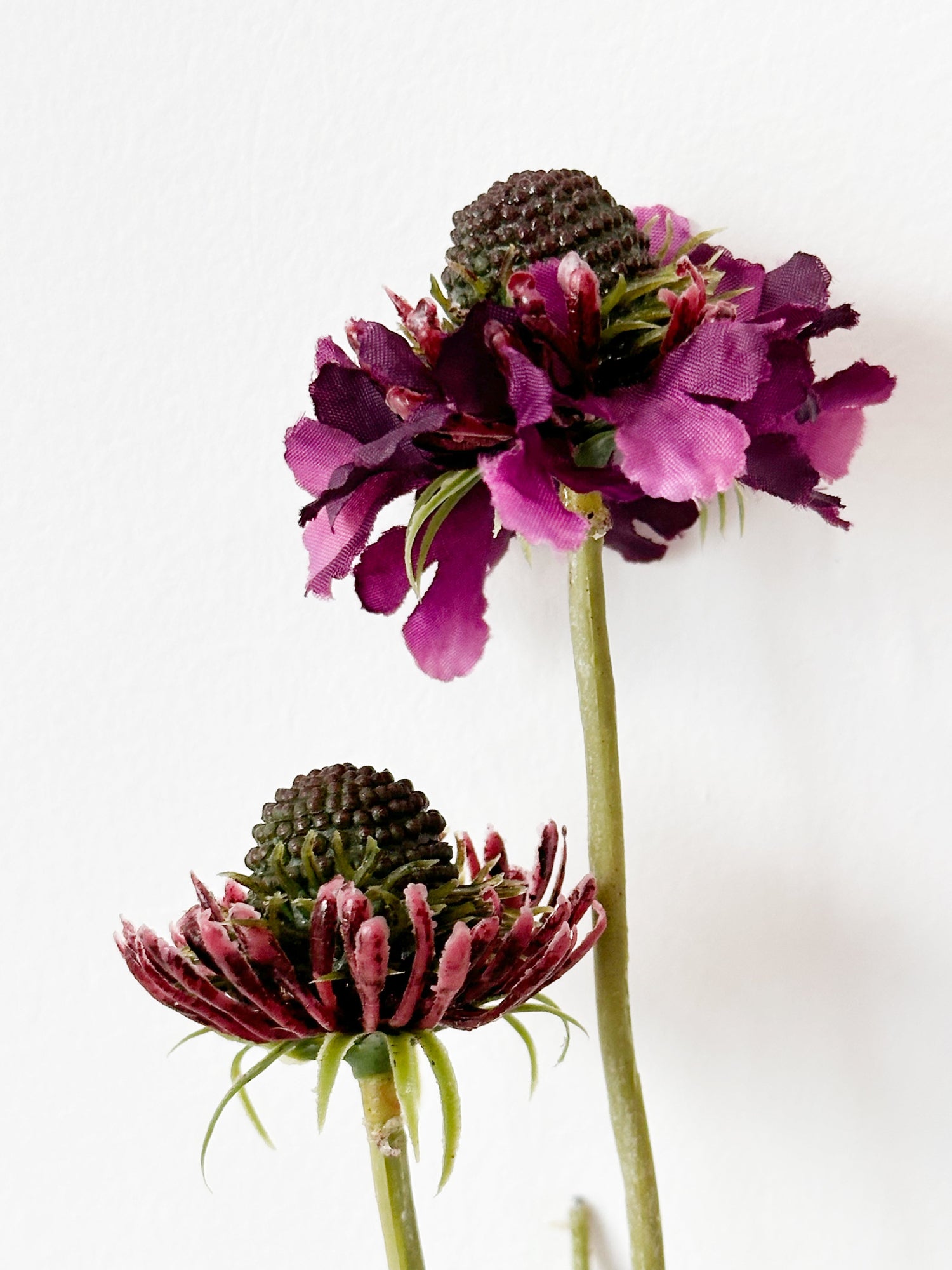 Amaranton™ 29" Realistica™ Scabiosa with 5 Blooms and 1 Bud - Dark Purple