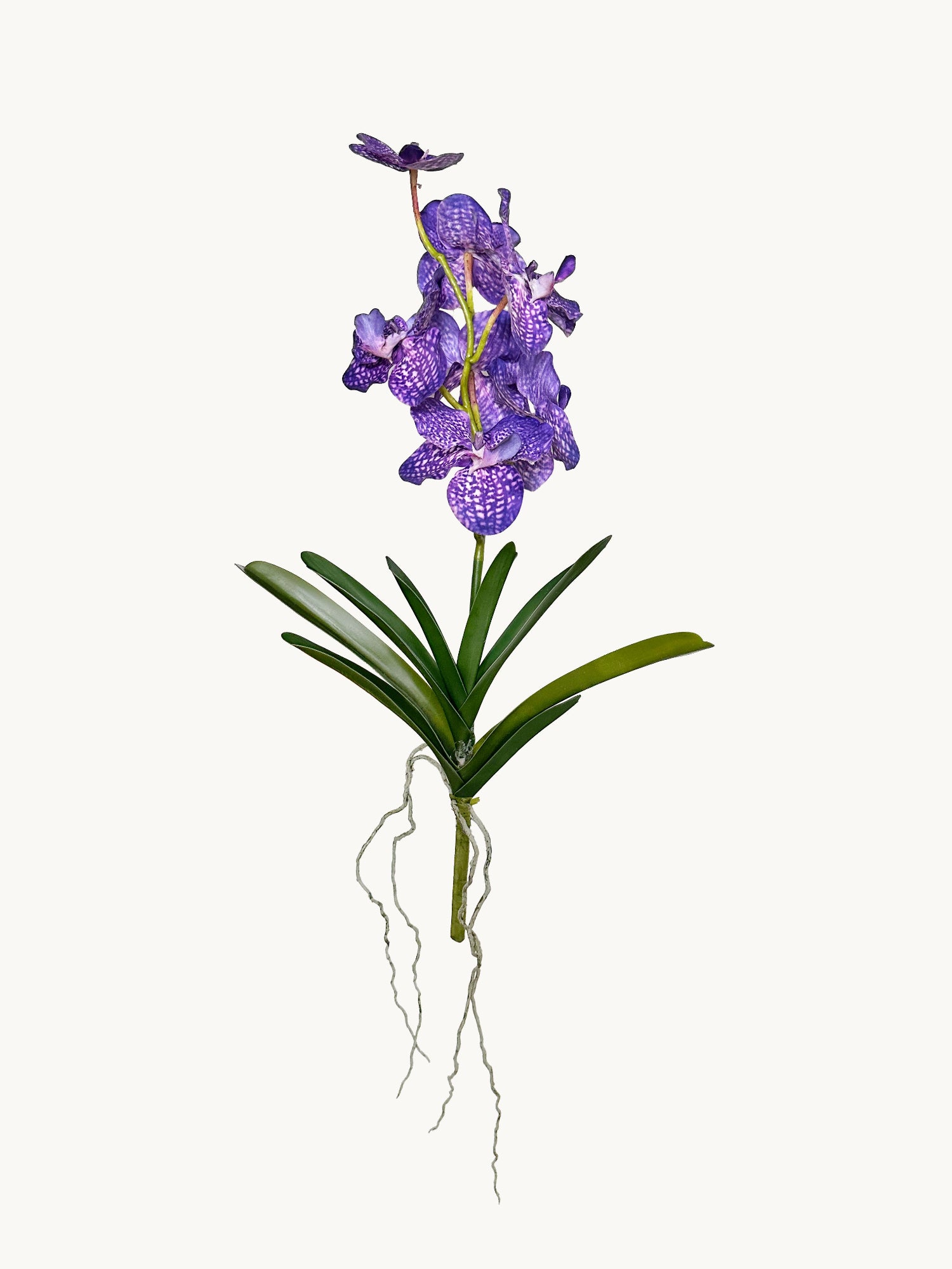 Amaranton™ 23" RealTouch™ Vanda Orchid with Leaves - Violet