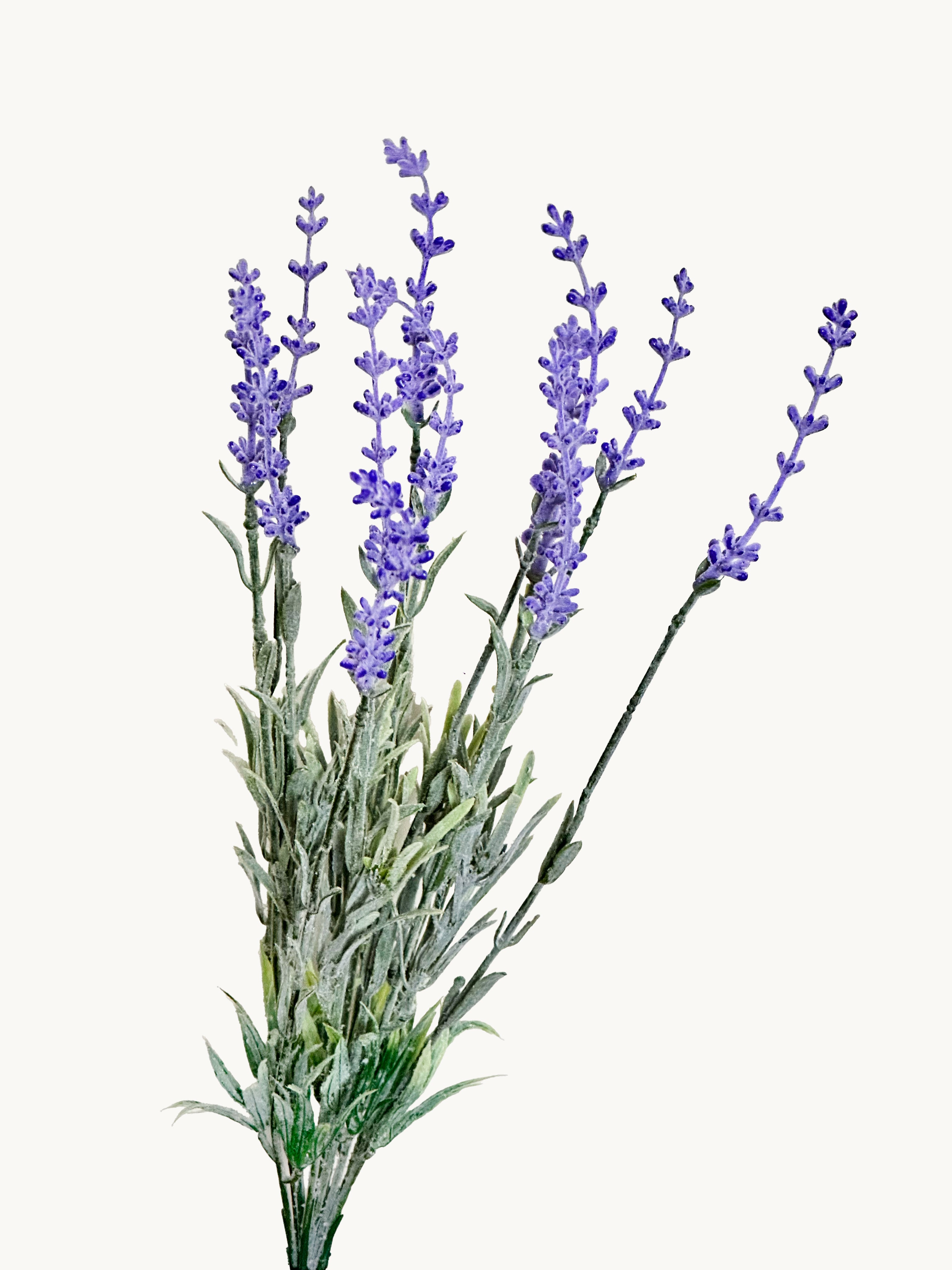 Amaranton Elegance 10-tine Faux Lavender