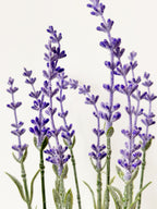 Amaranton Elegance 10-tine Faux Lavender