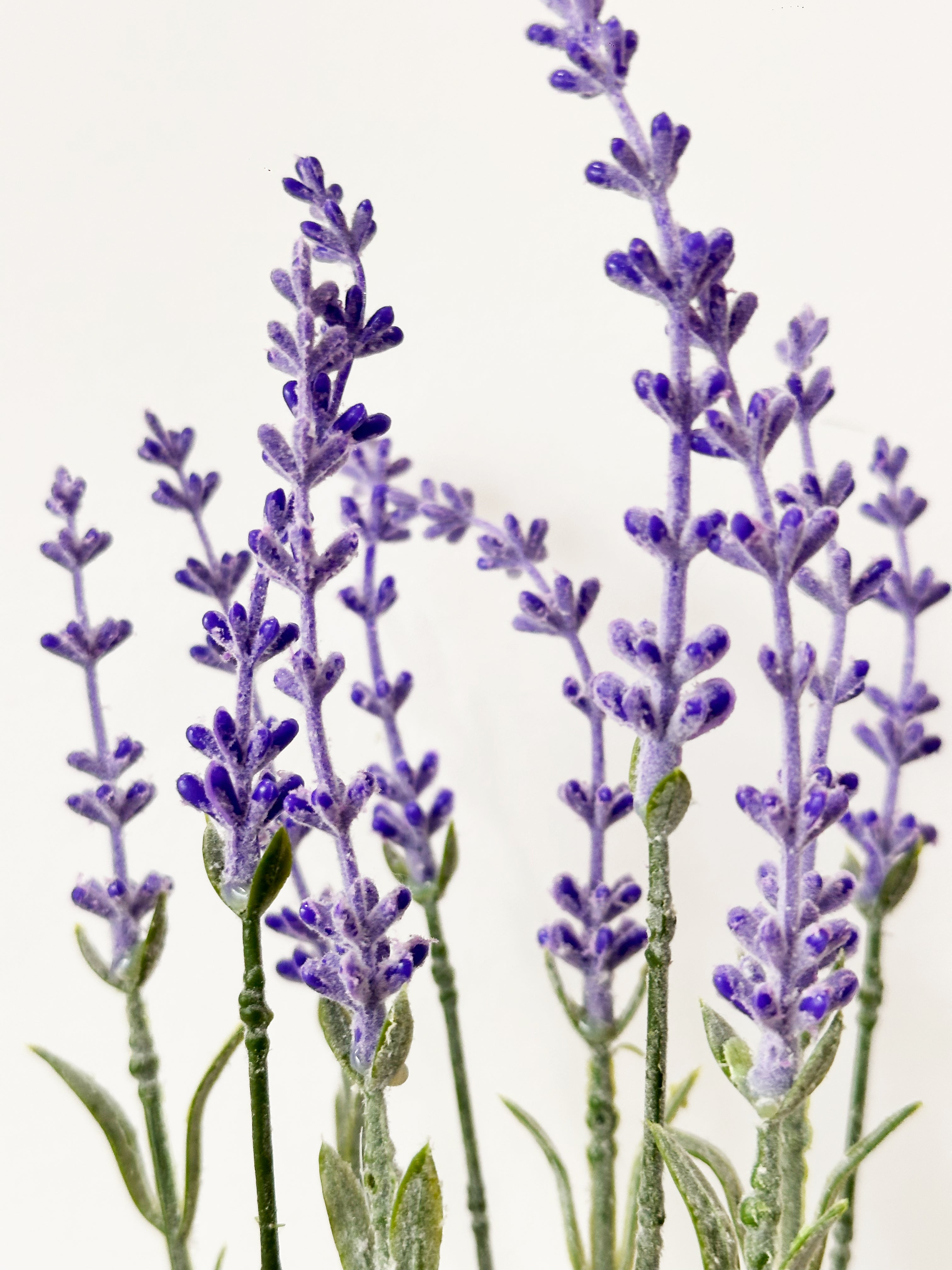 Amaranton Elegance 10-tine Faux Lavender