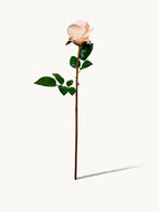 Amaranton 25" Real touch Rose - Peach