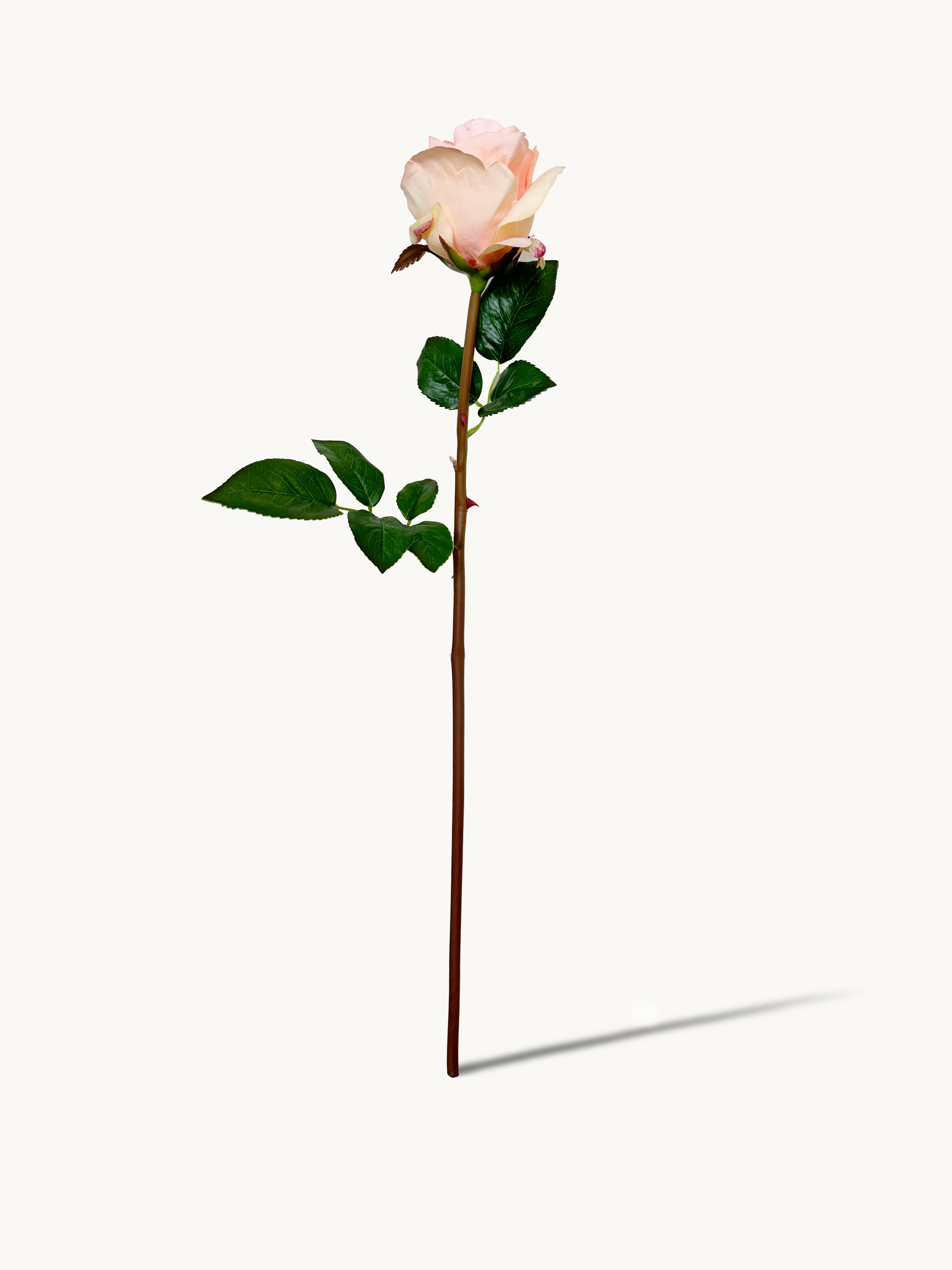 Amaranton 25" Real touch Rose - Peach