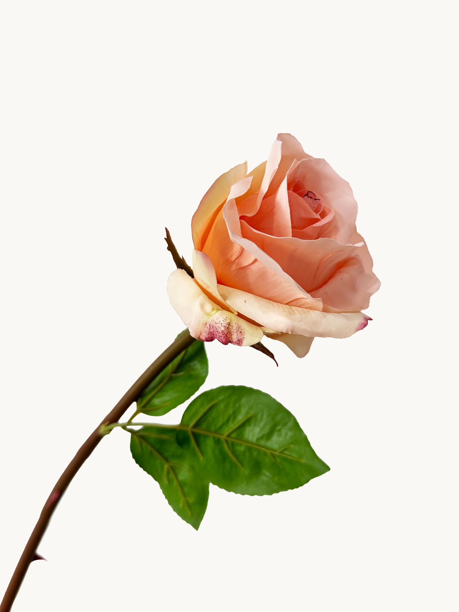 Amaranton™ 25" RealTouch™ Rose - Peach