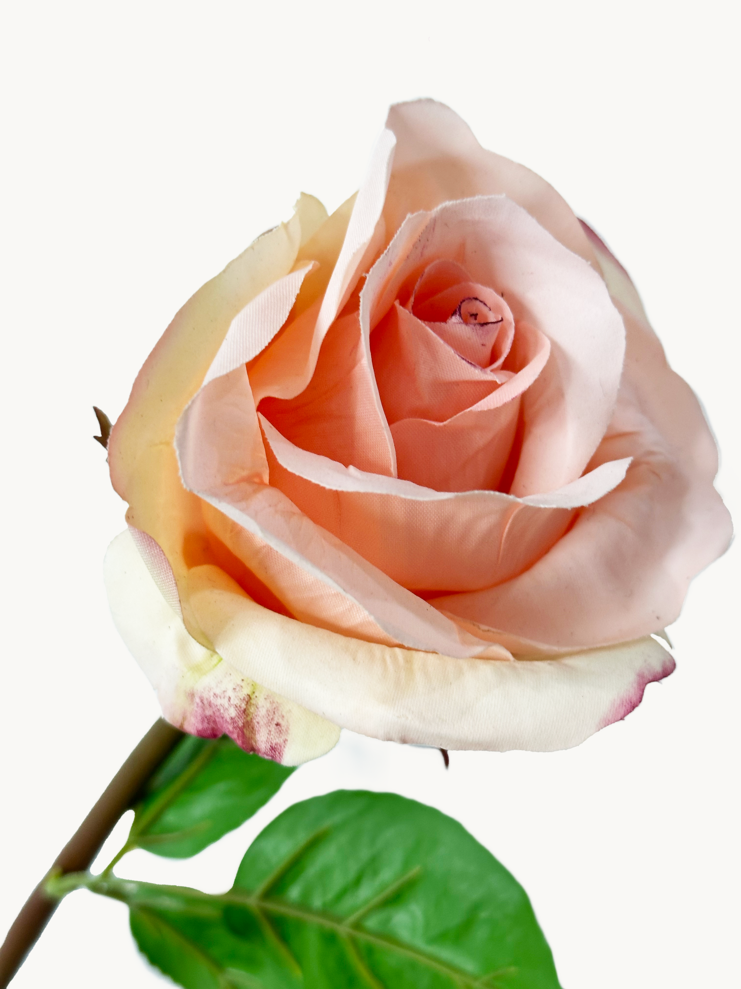 Amaranton 25" Rosa de tacto real - Melocotón