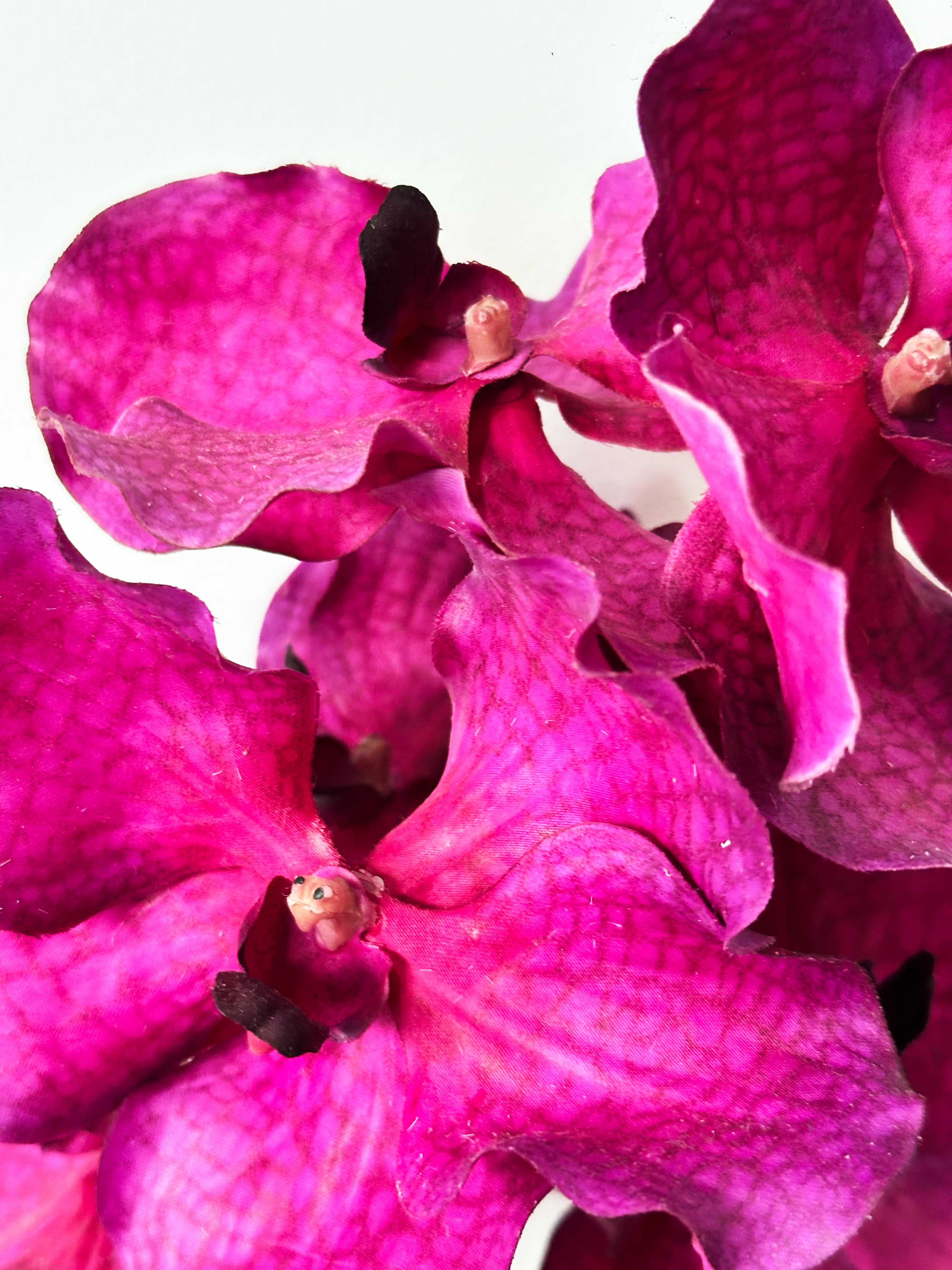 Amaranton 24" Real touch Vanda Orchid - Reddish Purple