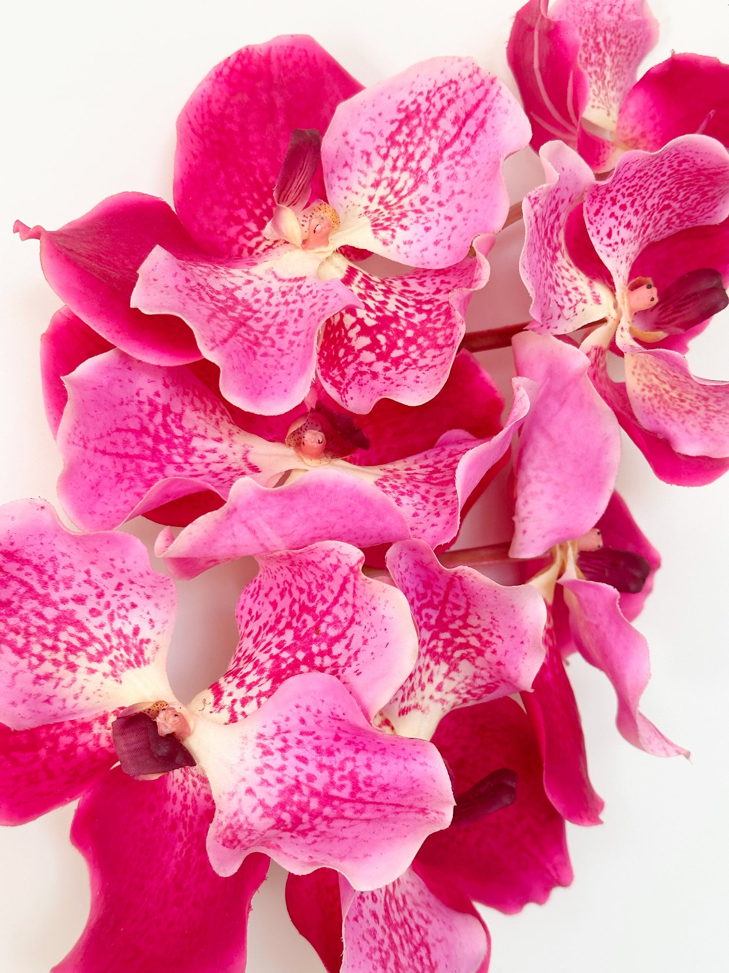 Orquídea Vanda Amaranton de 24" con tacto real - Fucsia