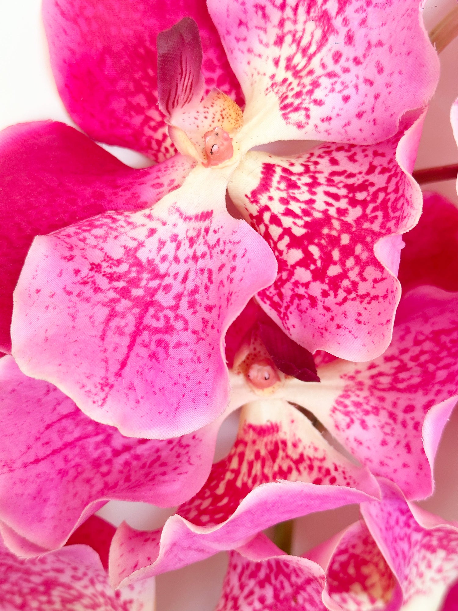 Orquídea Vanda Amaranton de 24" con tacto real - Fucsia