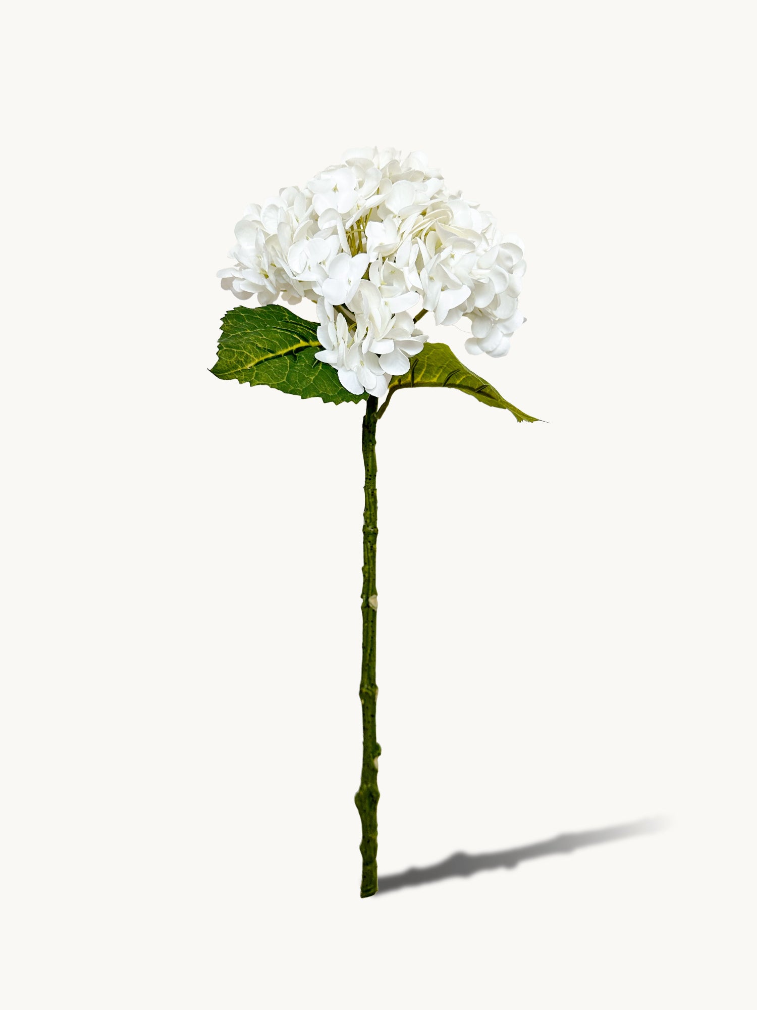 Hortensia Amaranton de 21" con tacto real - Blanca