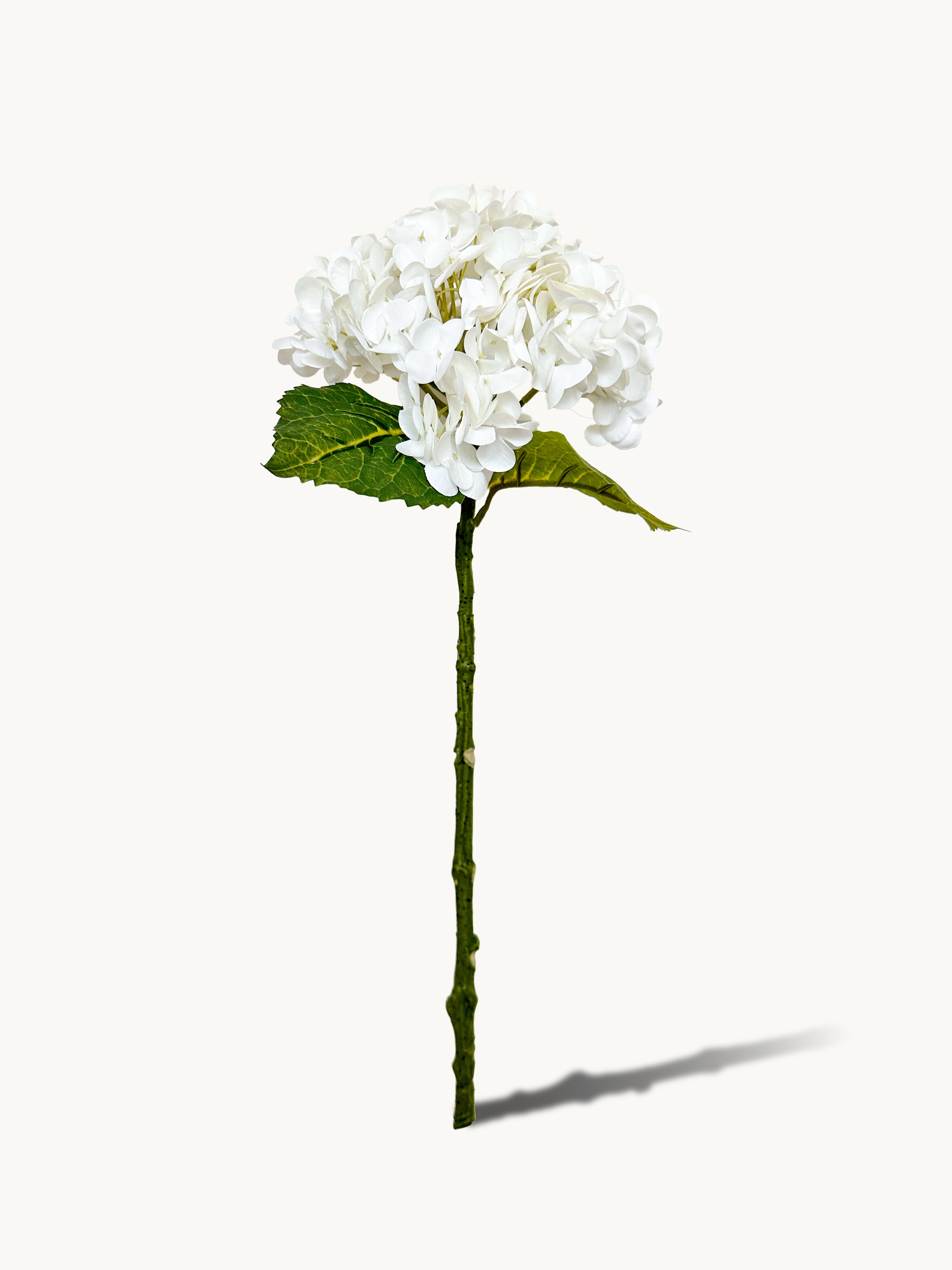 Amaranton 21" Real touch Western Hydrangea - White