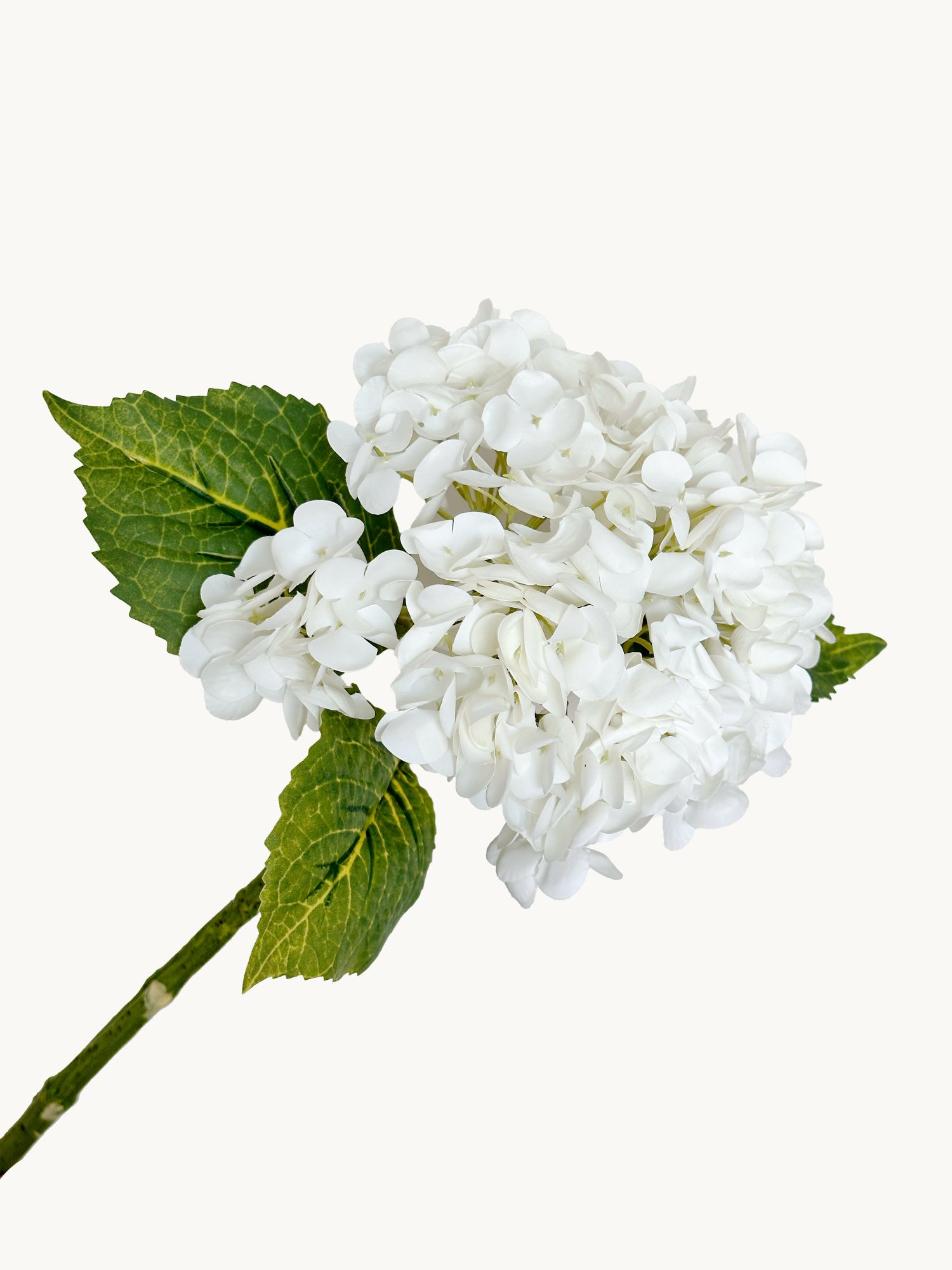 Hortensia Amaranton de 21" con tacto real - Blanca