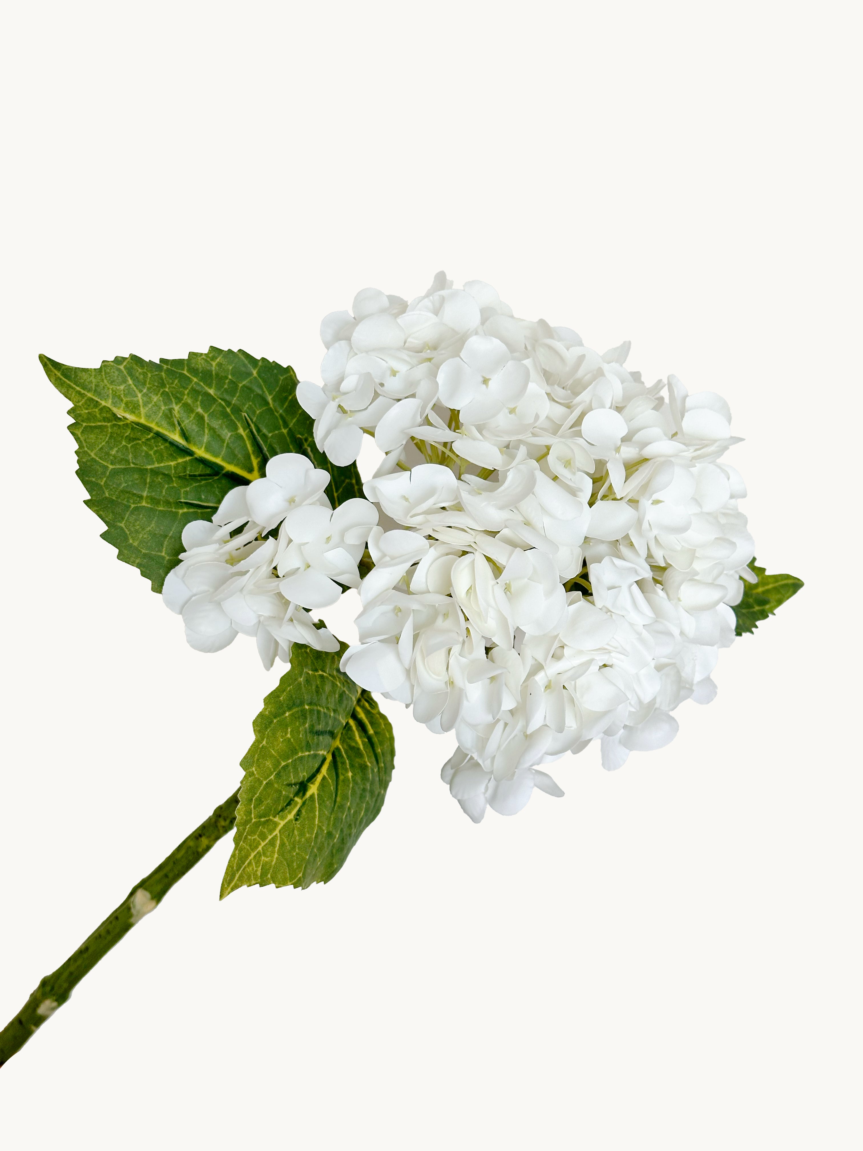 Amaranton 21" Real touch Western Hydrangea - White