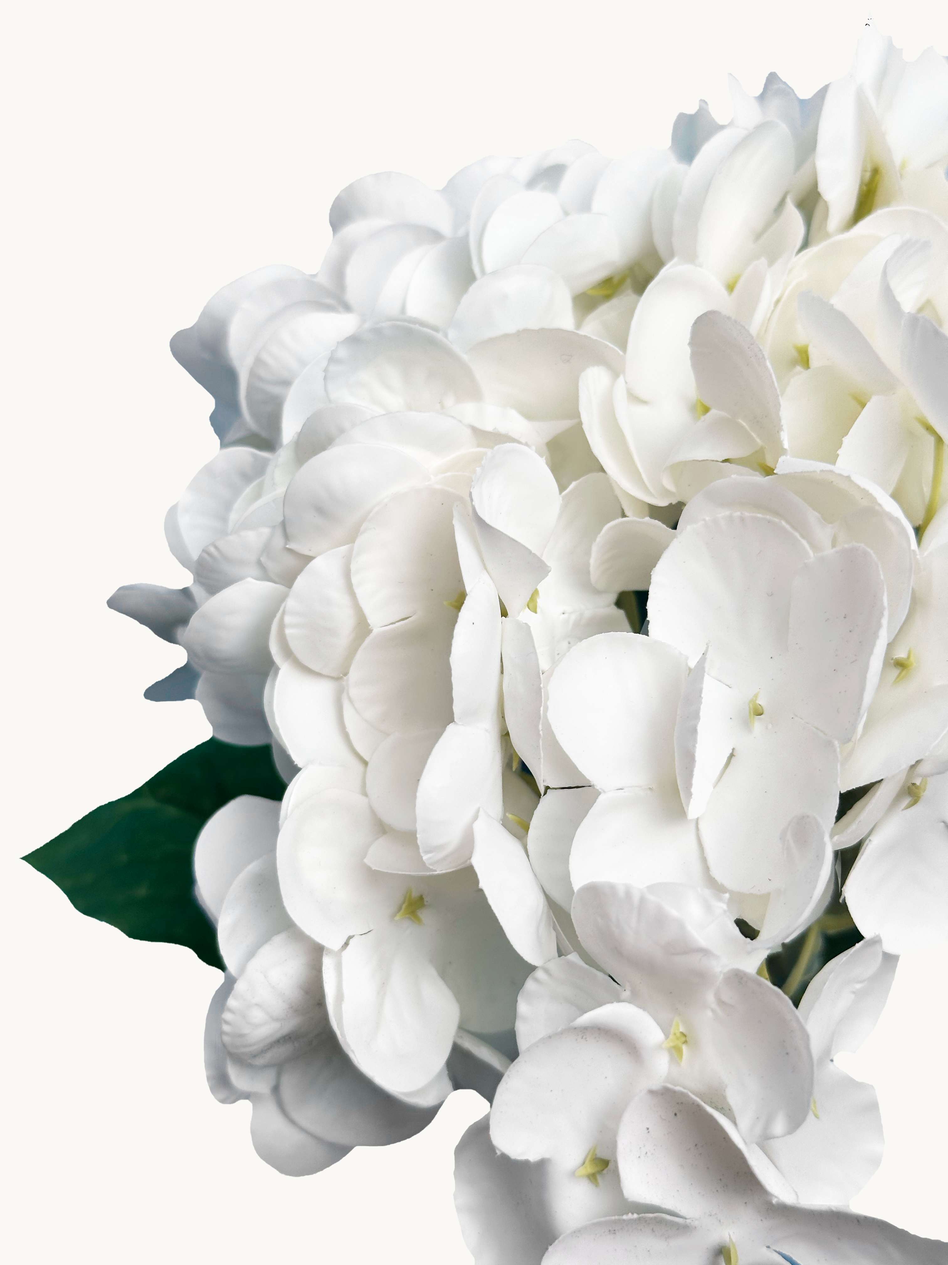 Amaranton 21" Real touch Western Hydrangea - White