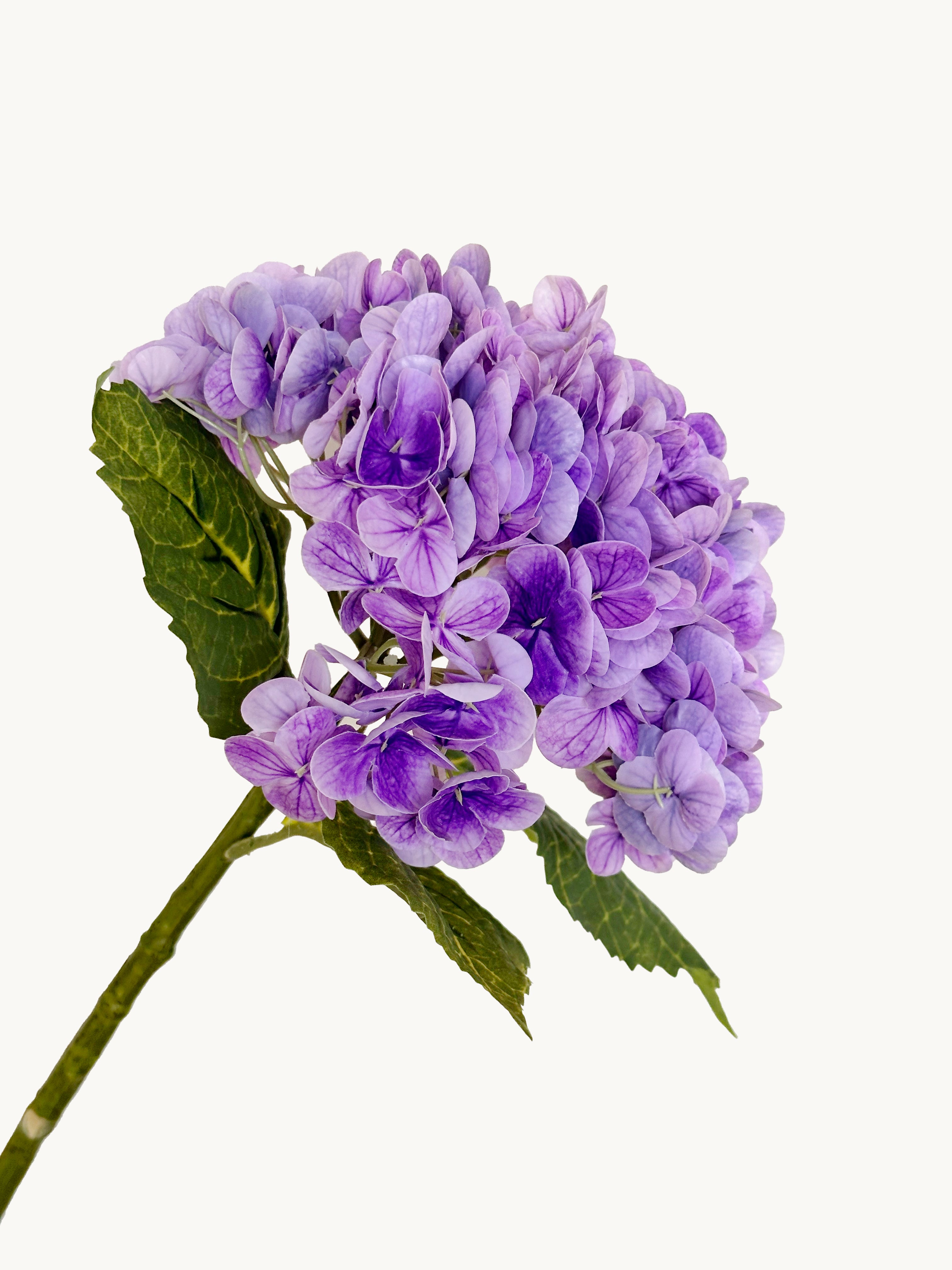 Amaranton 21" Real touch Western Hydrangea - Violet