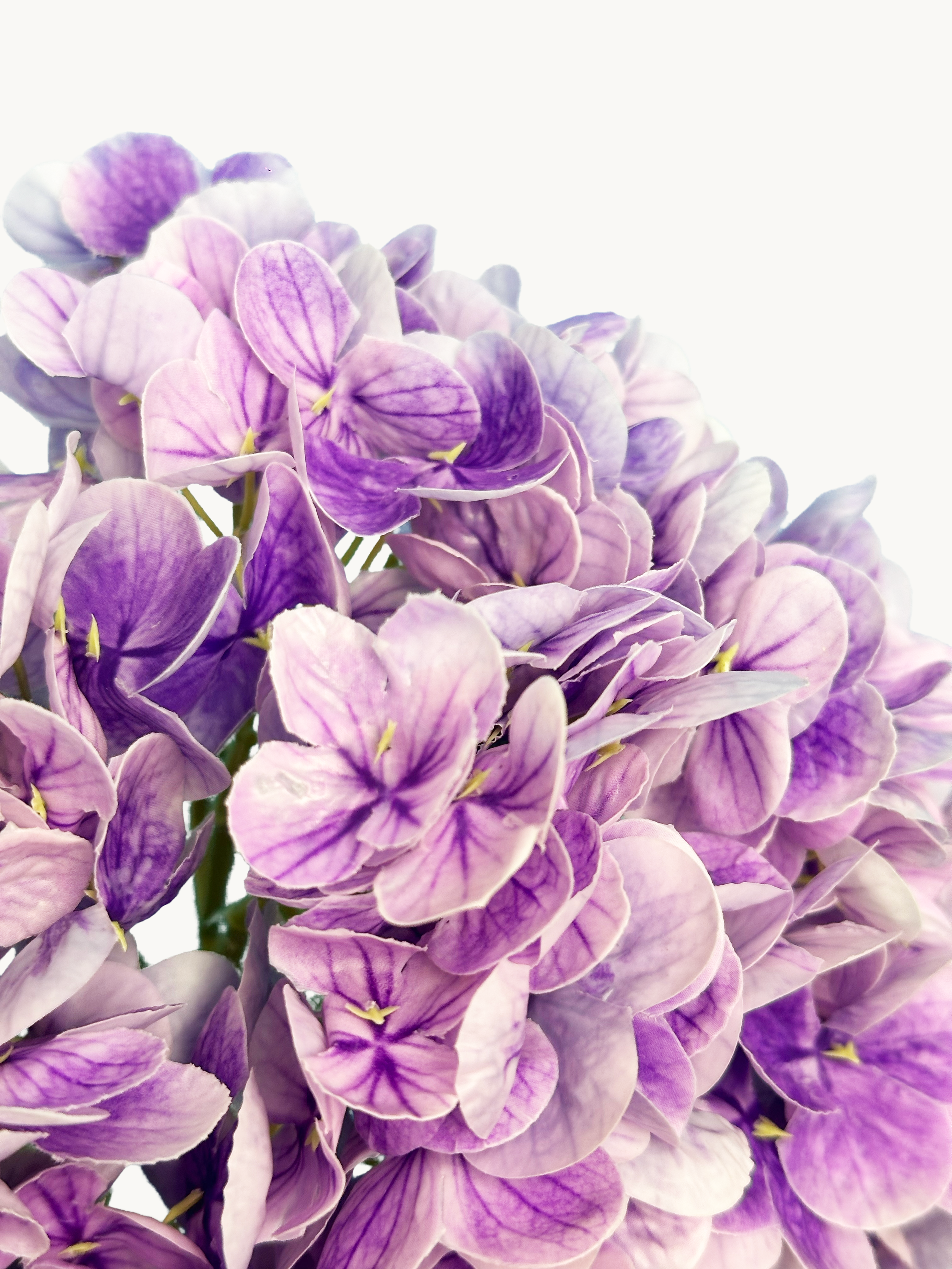 Amaranton 21" Real touch Western Hydrangea - Violet