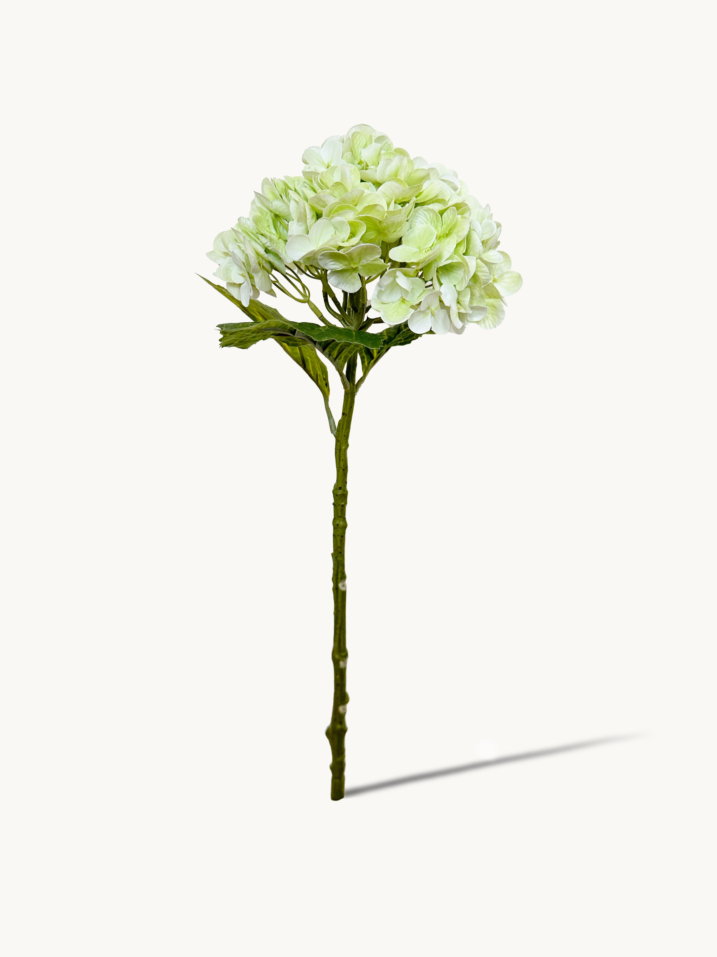 Amaranton 21" Real touch Western Hydrangea - Light Green