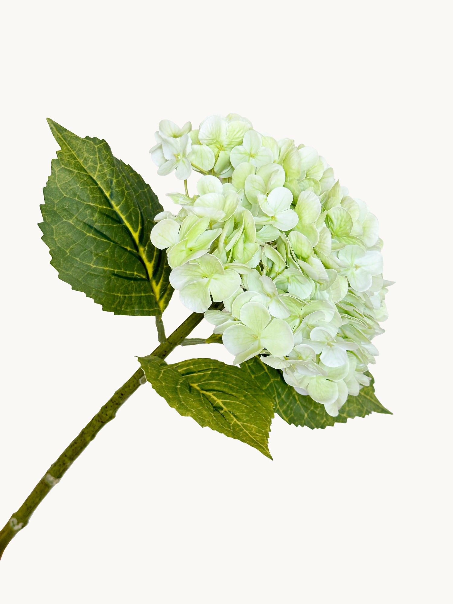 Hortensia Amaranton de 21" con tacto real - Verde claro