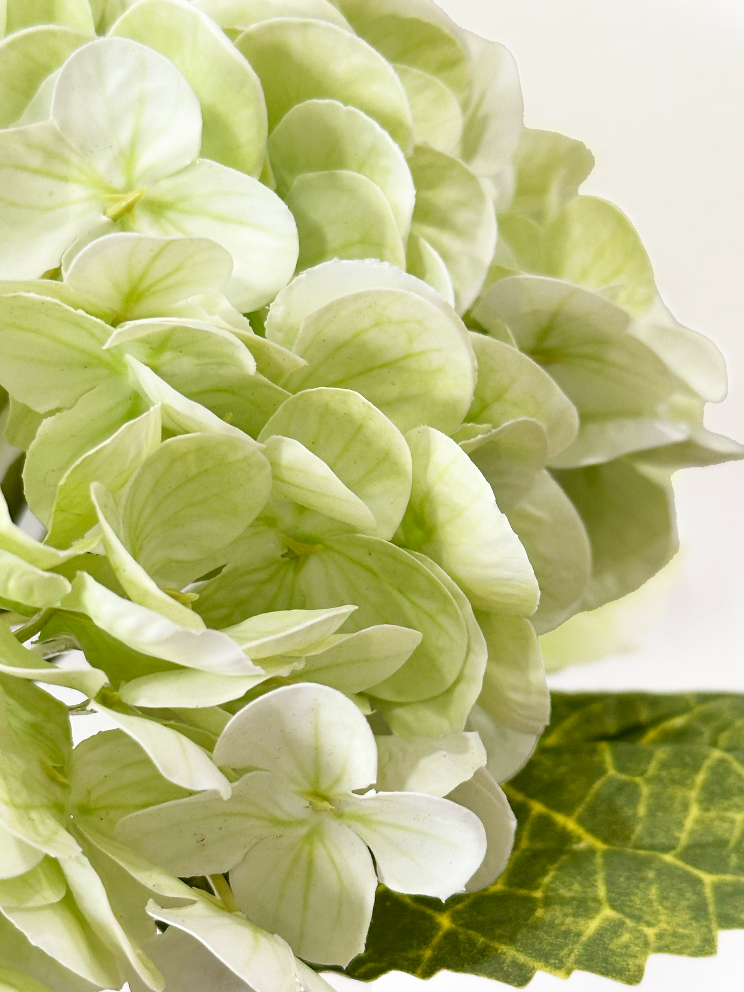 Hortensia Amaranton de 21" con tacto real - Verde claro