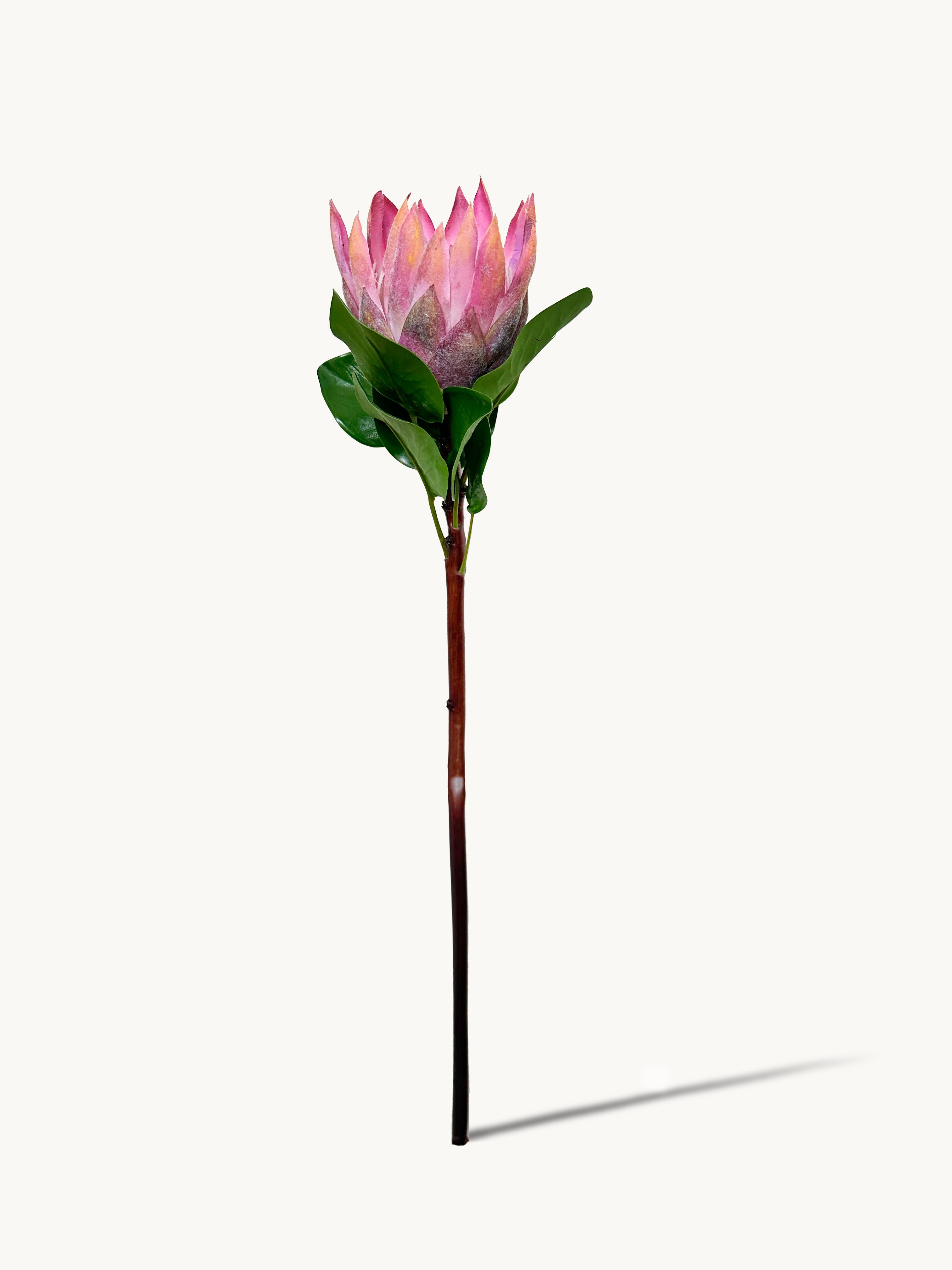 Amaranton 26" Realistic Pink King Protea-Bloom