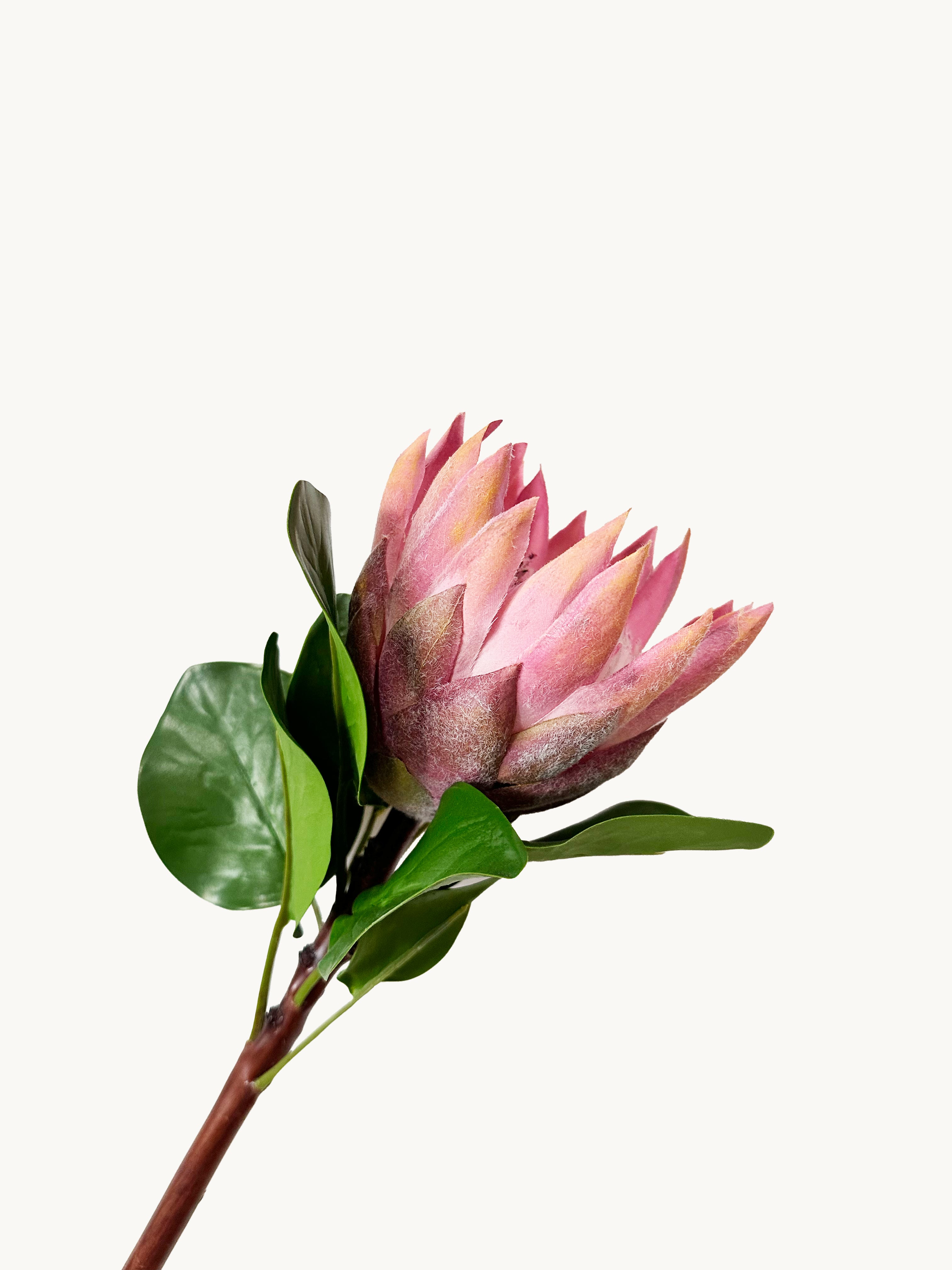 Amaranton 26" Realistic Pink King Protea-Bloom
