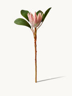 Amaranton 22" Real Touch King Protea – Half Bloom