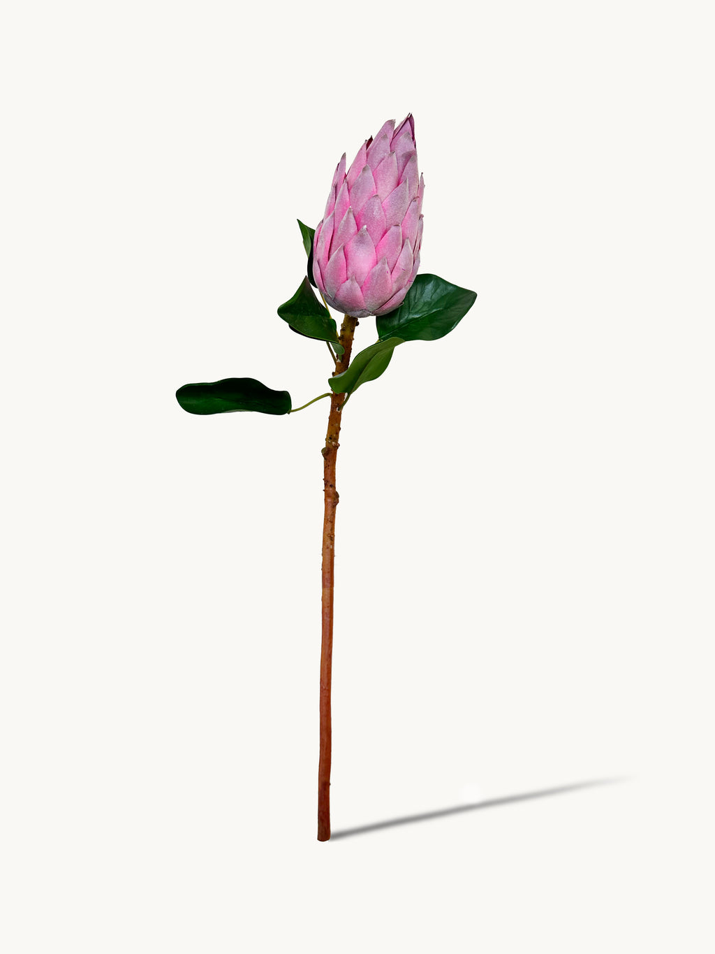 Amaranton 28" Real Touch King Protea Bud – Pagoda Style