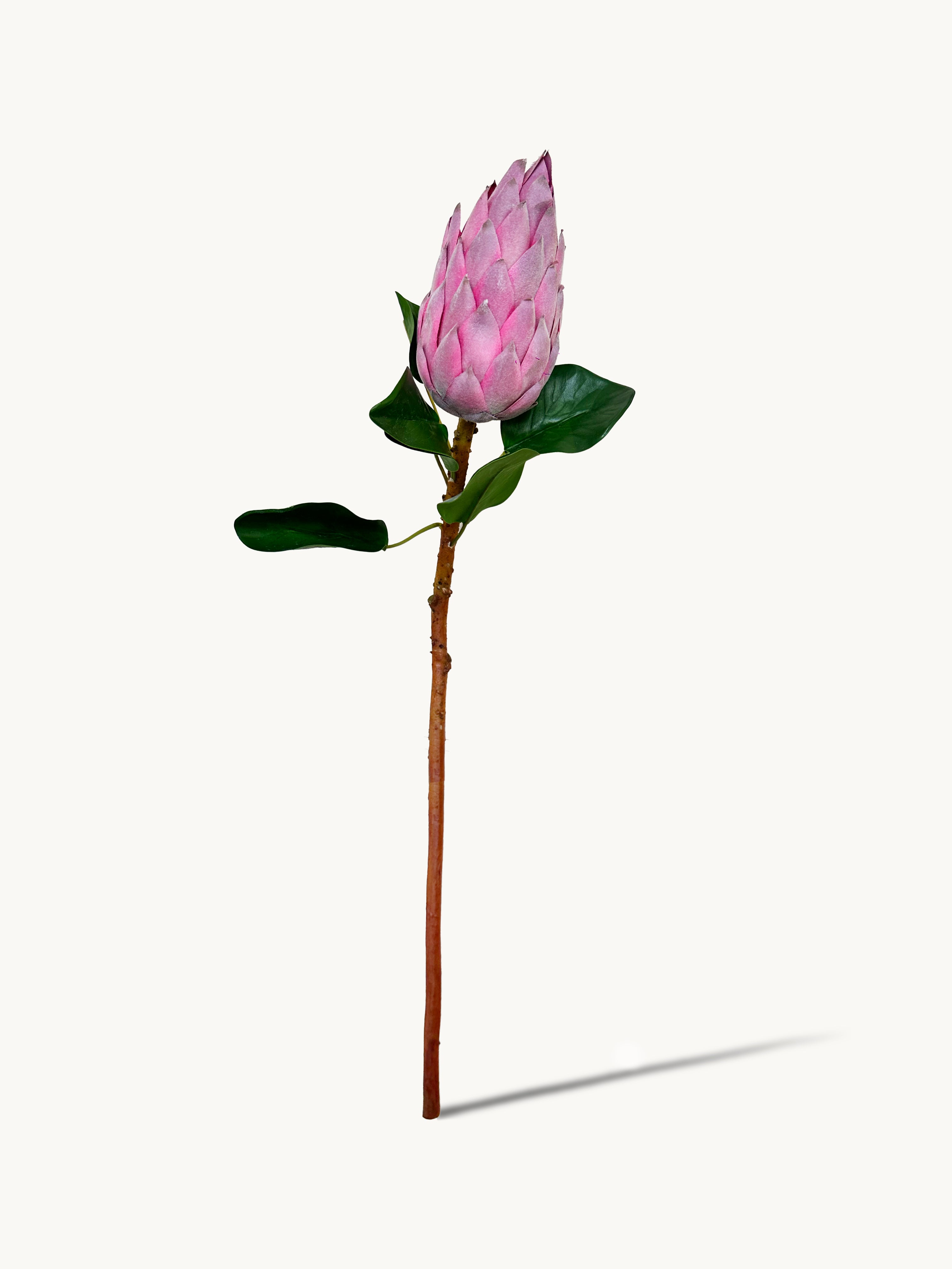 Amaranton 28" Real Touch King Protea Bud – Pagoda Style
