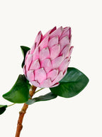 Amaranton 28" Real Touch King Protea Bud – Pagoda Style