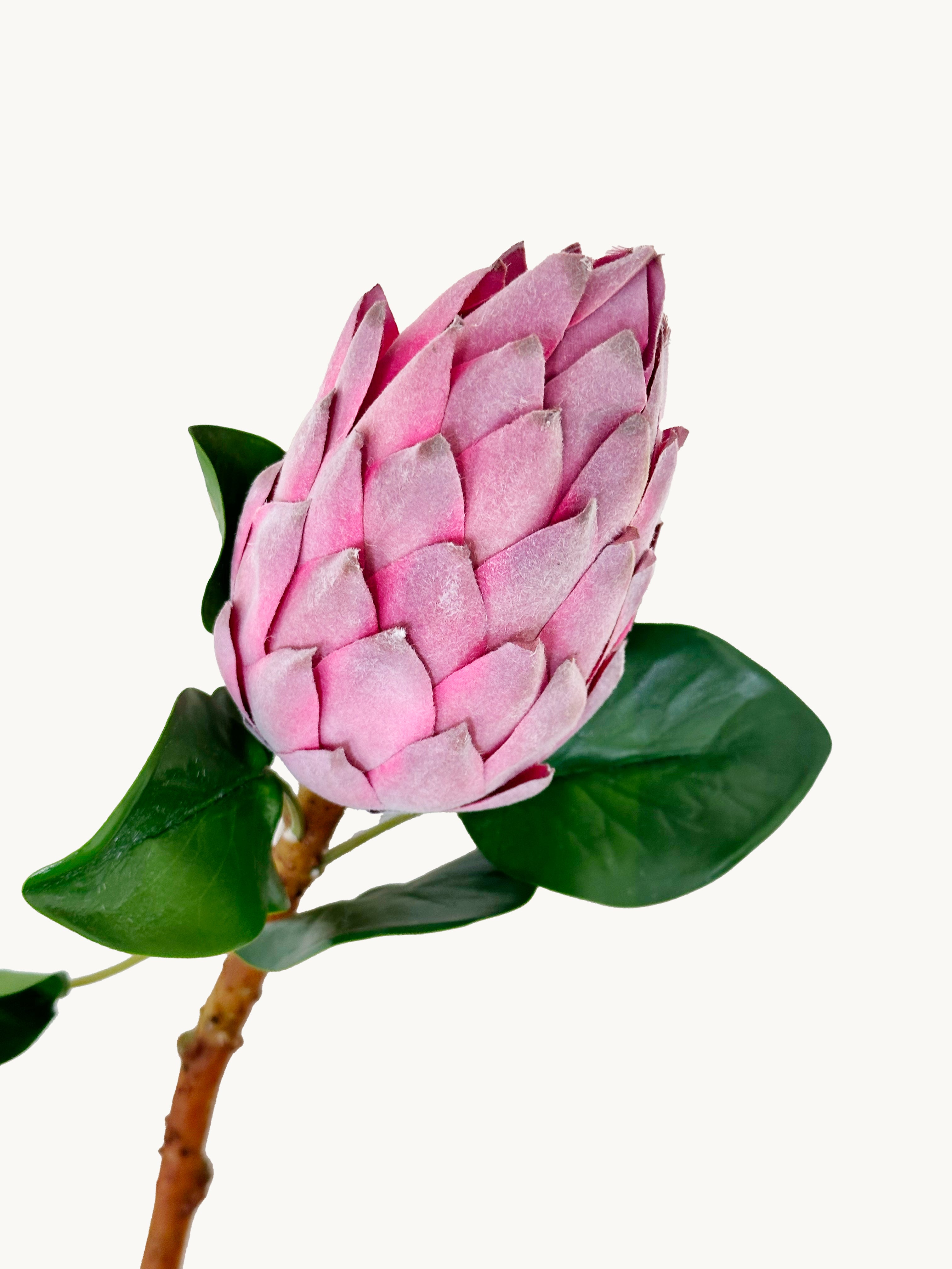 Amaranton 28" Real Touch King Protea Bud – Pagoda Style