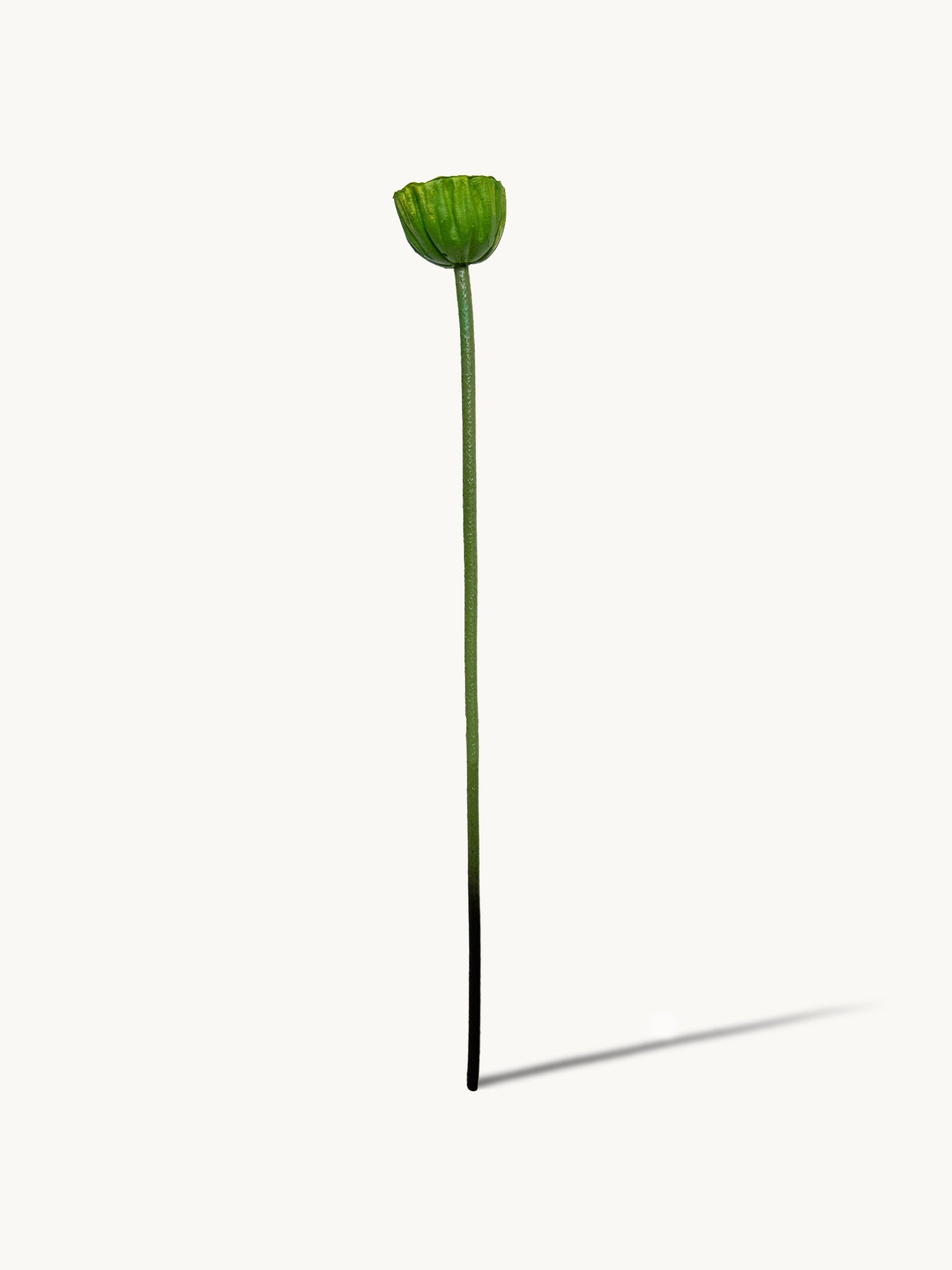 Amaranton™ 29" Artificial Lotus Seedpod - Green