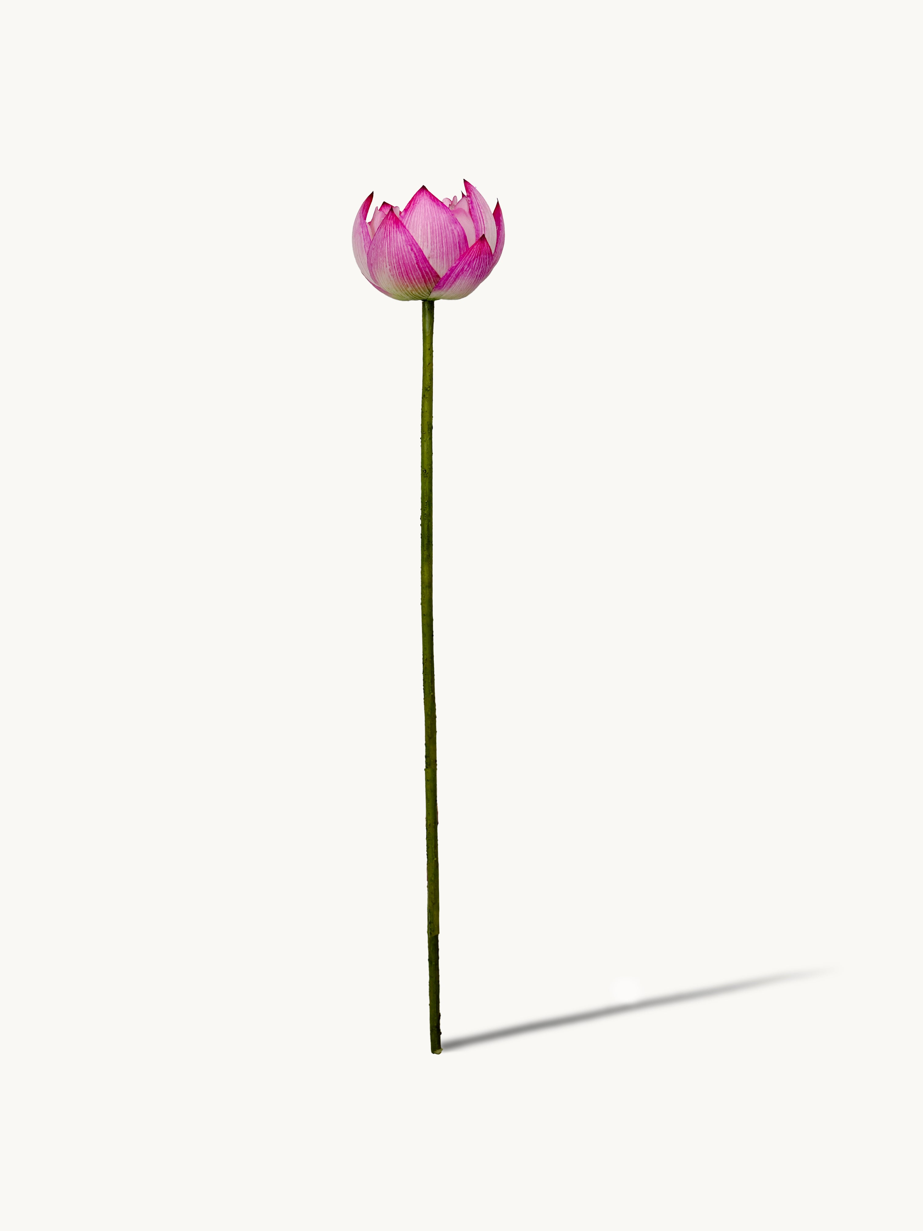 Amaranton 25.6" Real Touch Lotus Flower - Pink