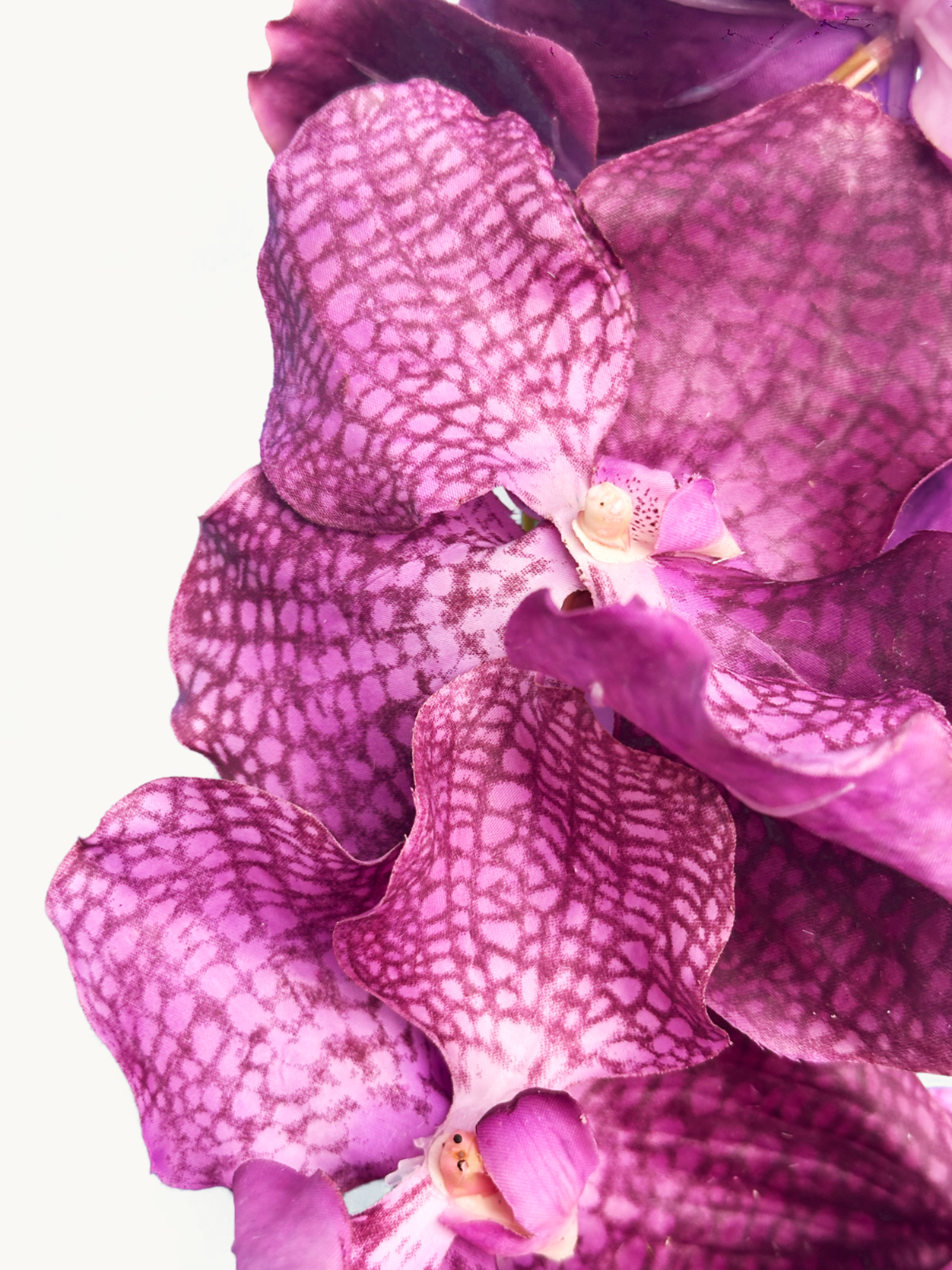 Orquídea Vanda Amaranton de 24" con tacto real - Morada