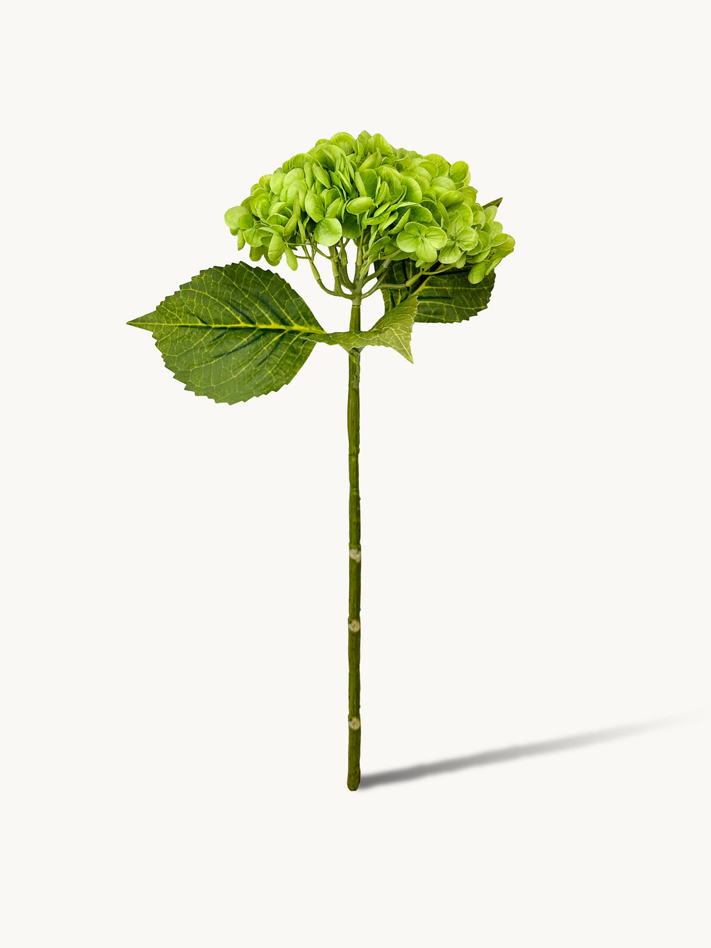 Amaranton 21" Real touch Western Hydrangea - Green