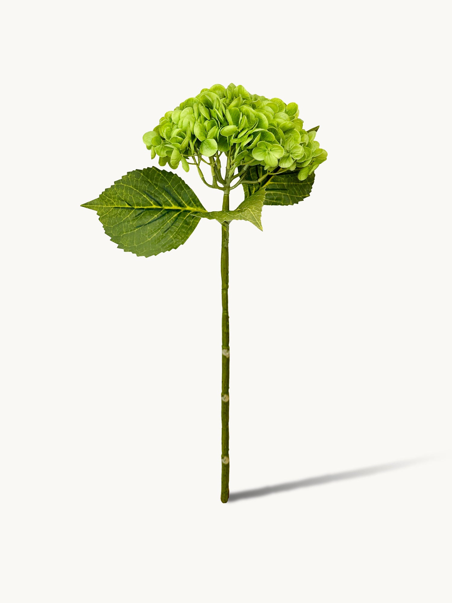 Hortensia Amaranton de 21" con tacto real - Verde