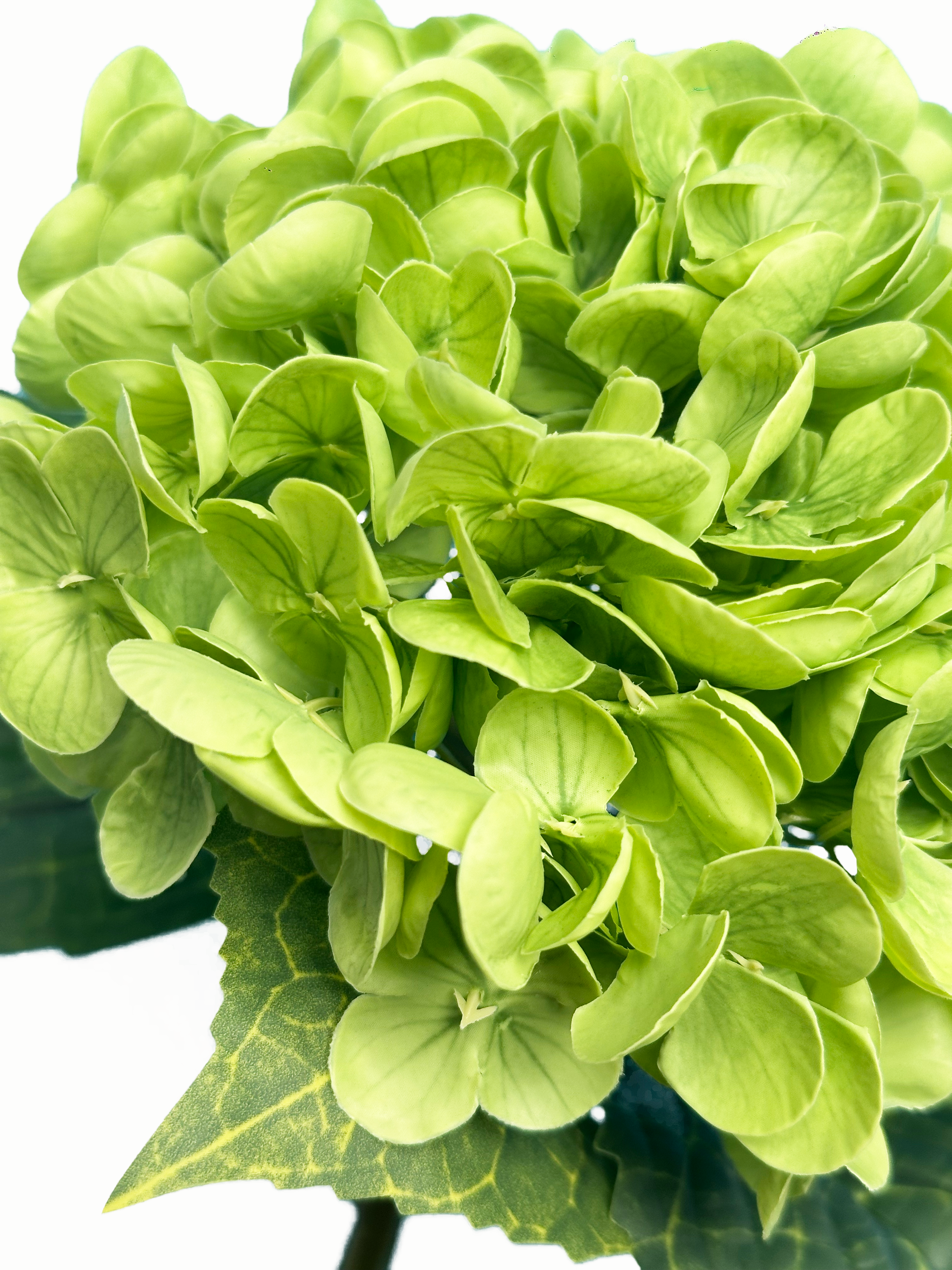 Amaranton 21" Real touch Western Hydrangea - Green