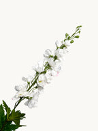 Amaranton 35" Real Touch Silk Double Petal Long Delphinium - White